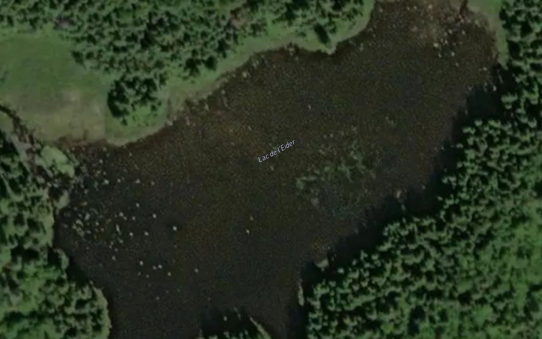 Satellite map of the Lac de l'Eider