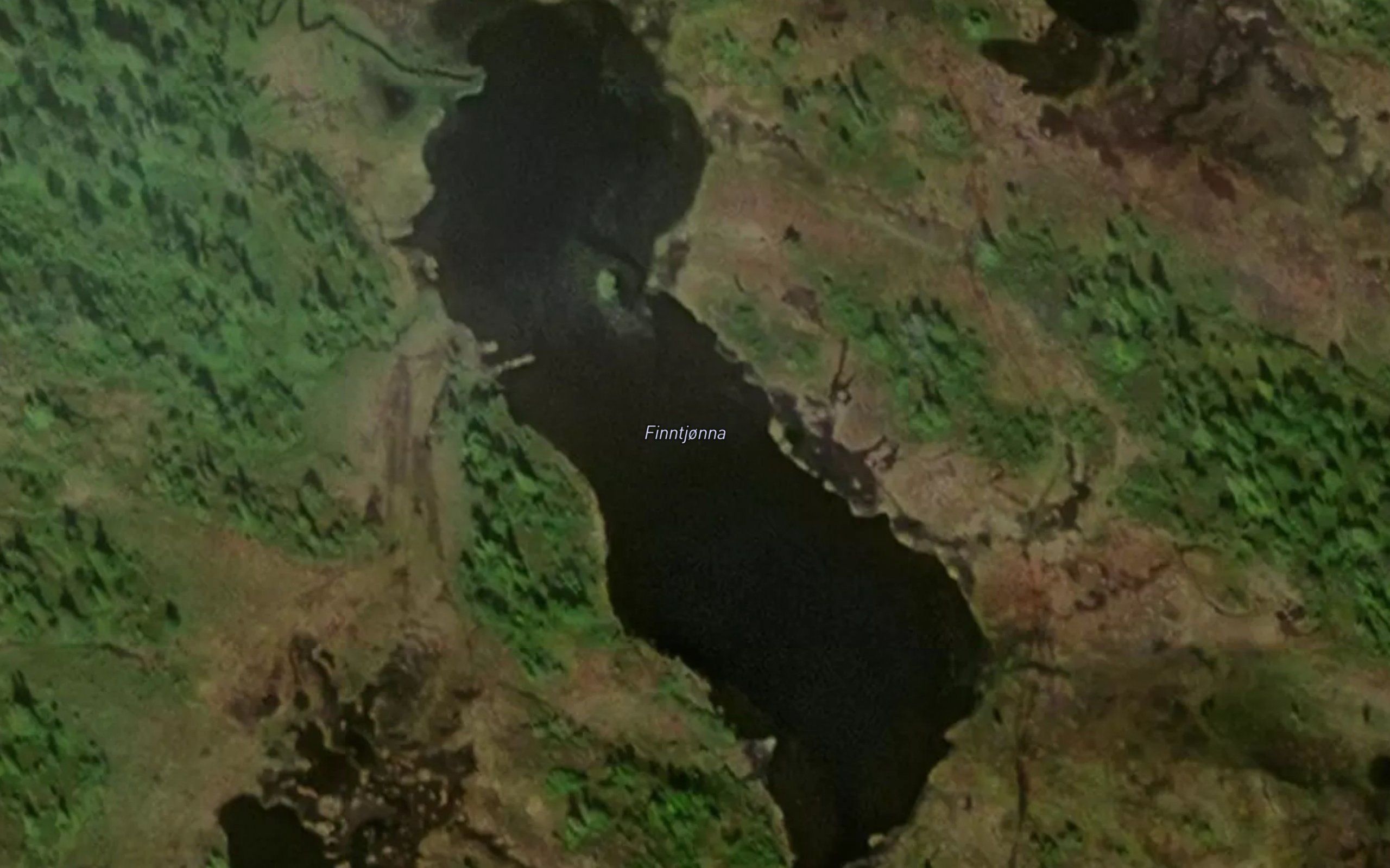 Finntjorna