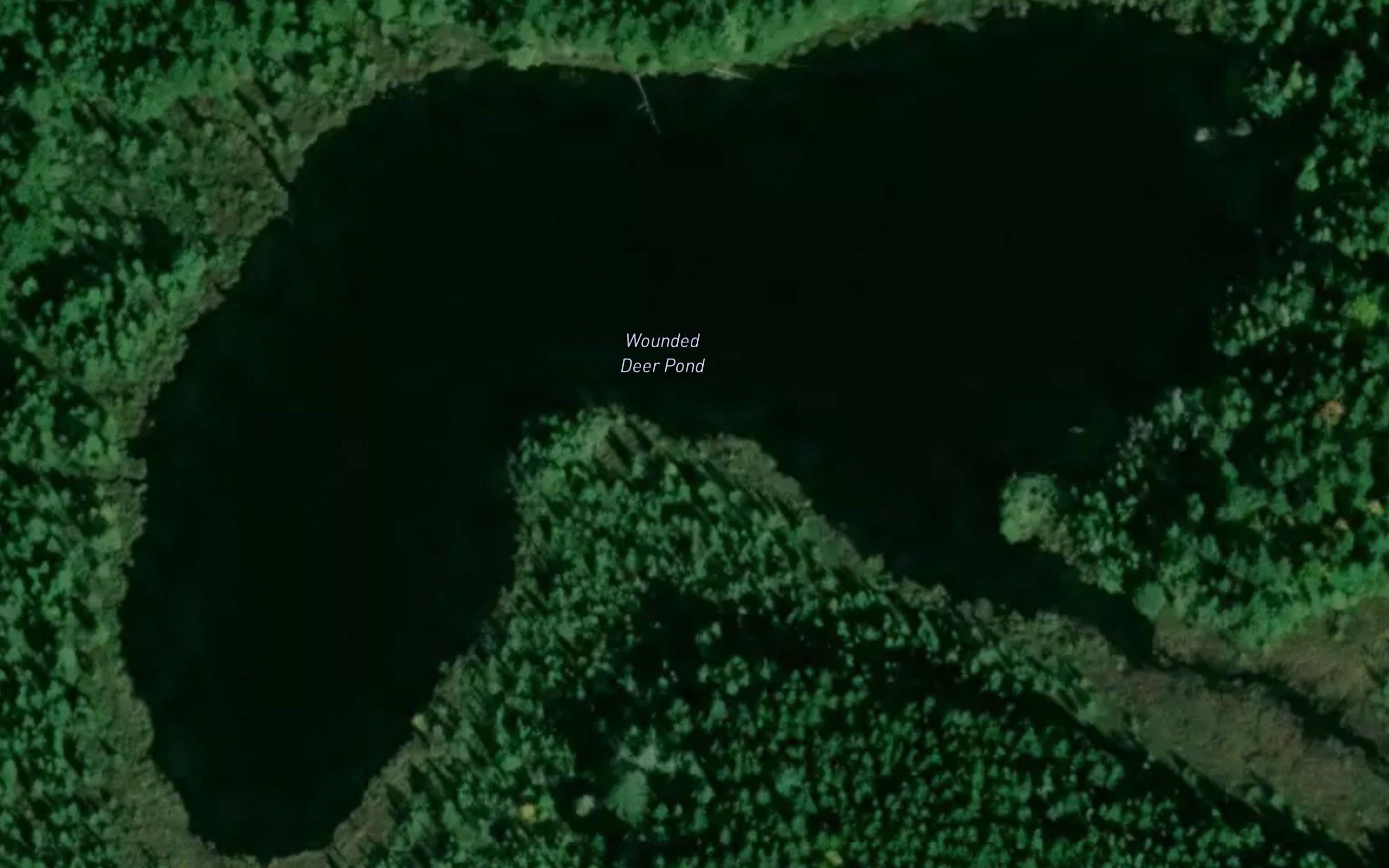 Wounded Deer Pond
