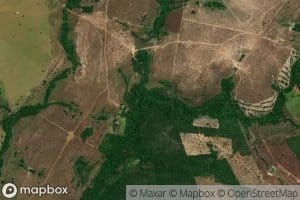 Corrego das Palmeiras