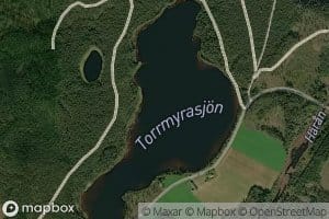 Torrmyrasjoen