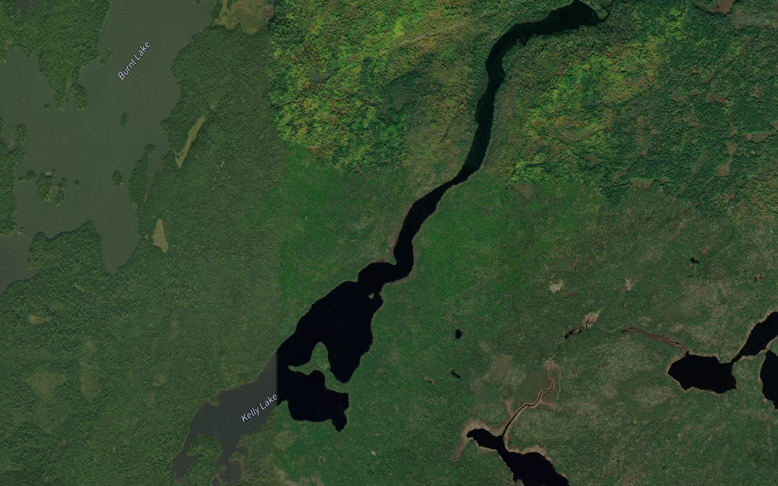 Kelly Lake