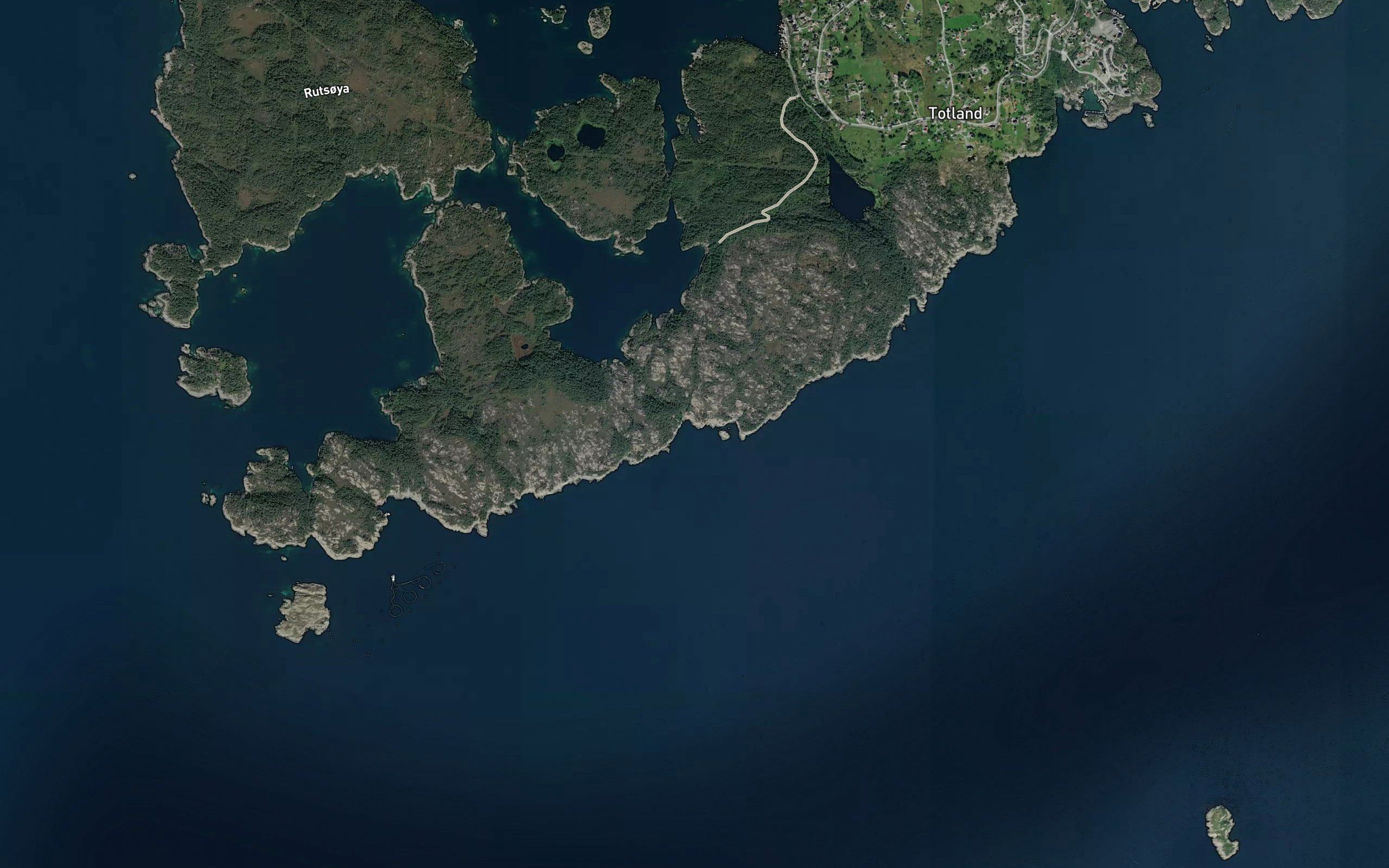 Midgardsvika