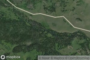 Moss Creek