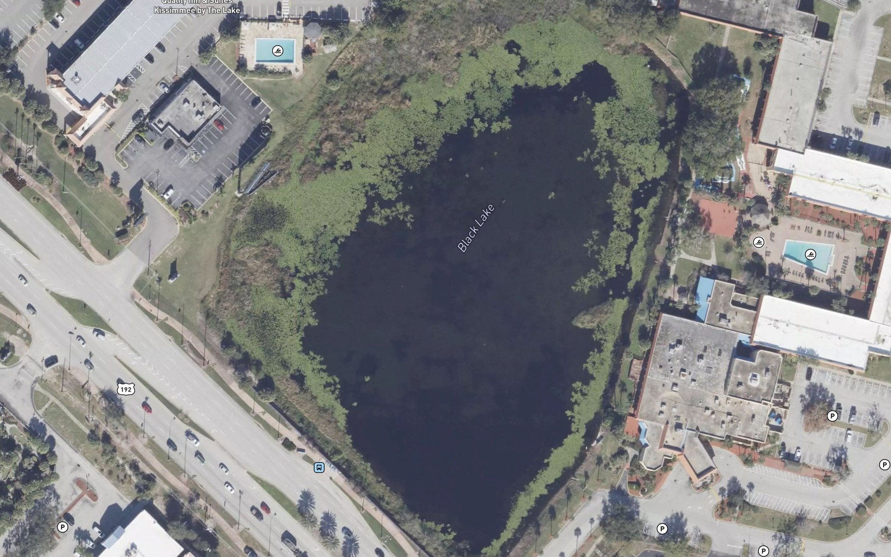 Satellite map of the Black Lake