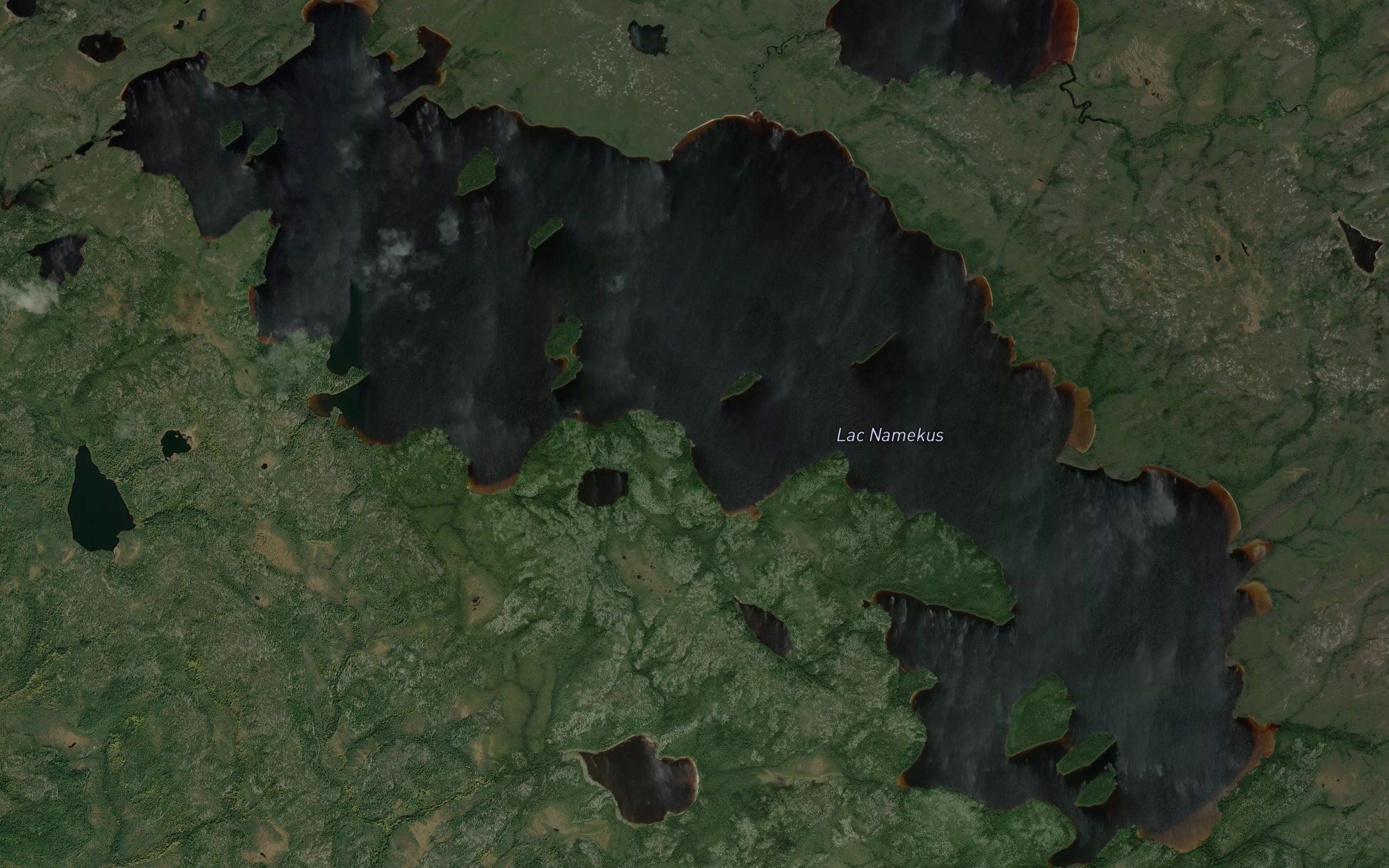 Lac Namekus