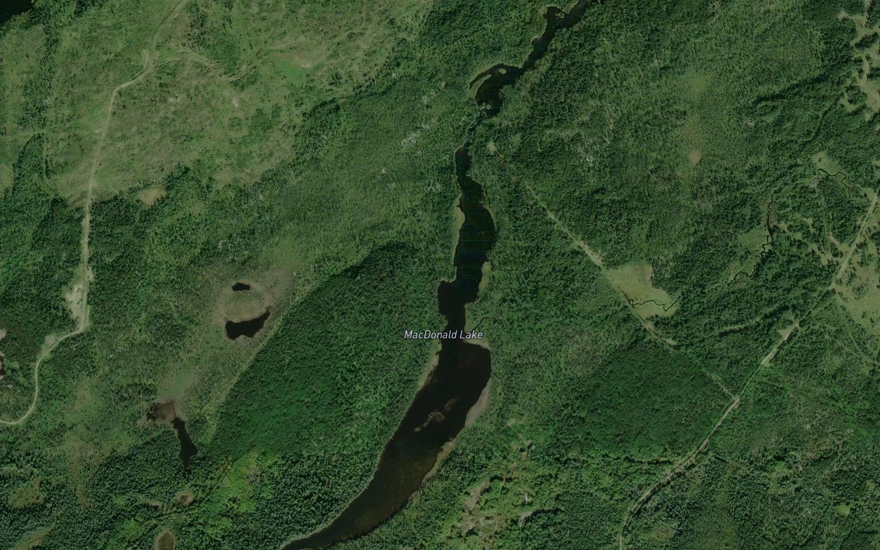 Satellite map of the MacDonald Creek