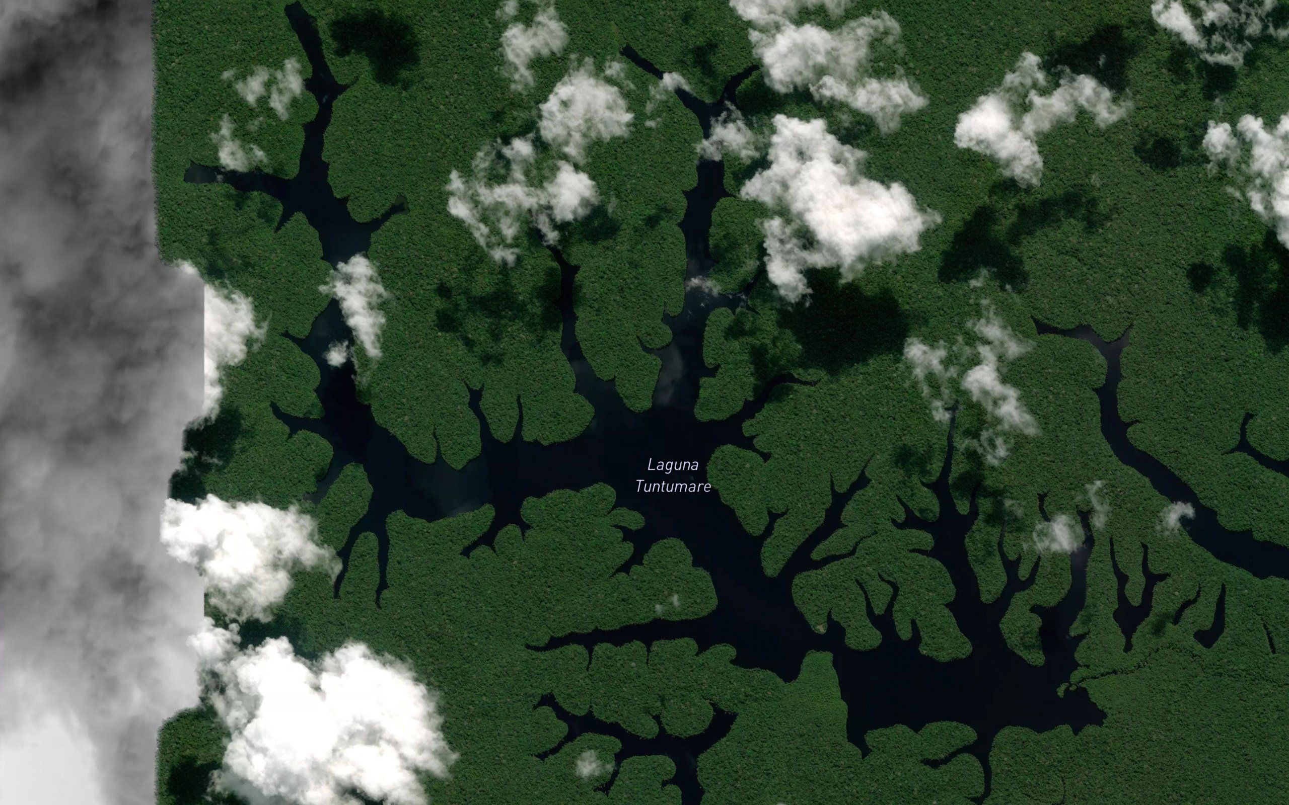 Laguna Tuntunare