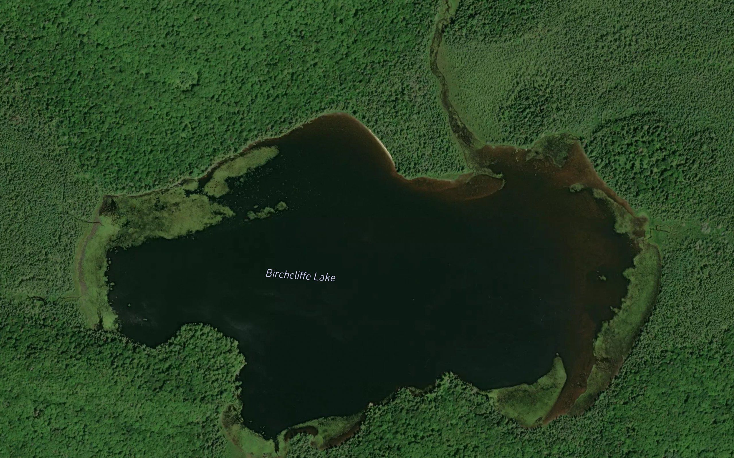 Birchcliffe Lake