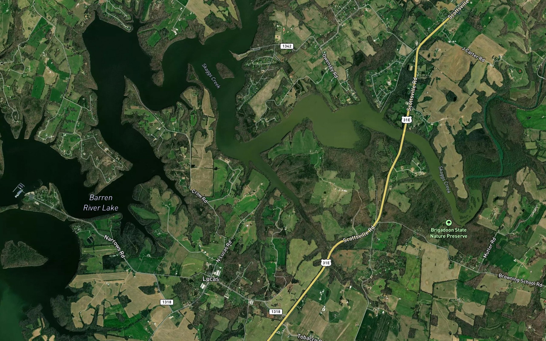 Satellite map of the Coon Creek