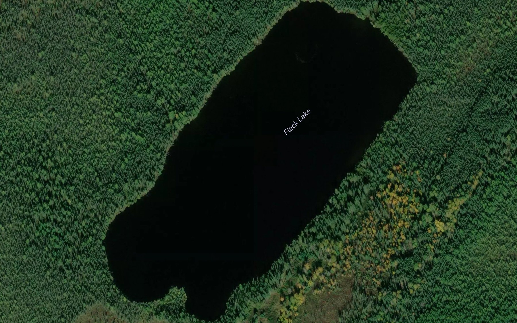 Satellite map of the Fleck Lake