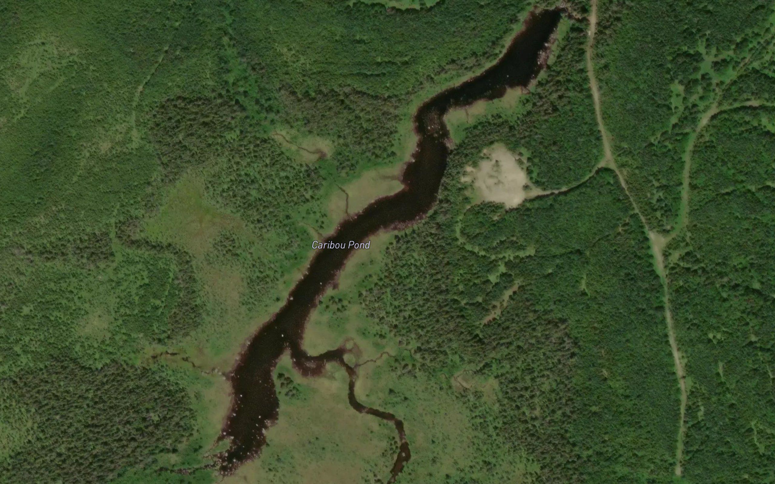 Caribou Pond