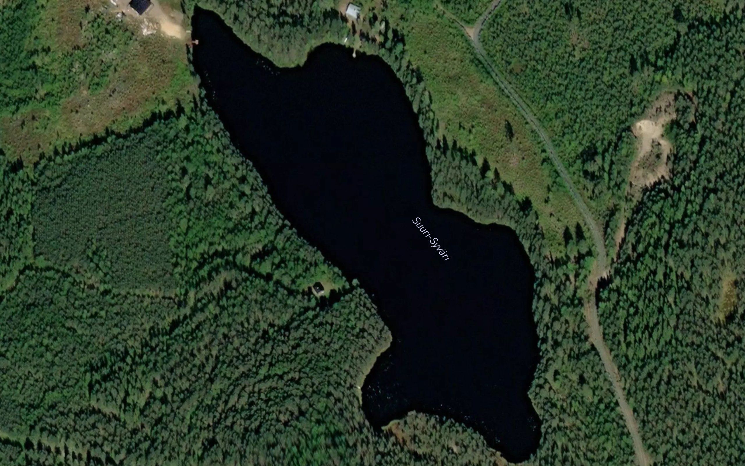 Suuri-Syvari