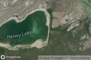 Harvey Lake