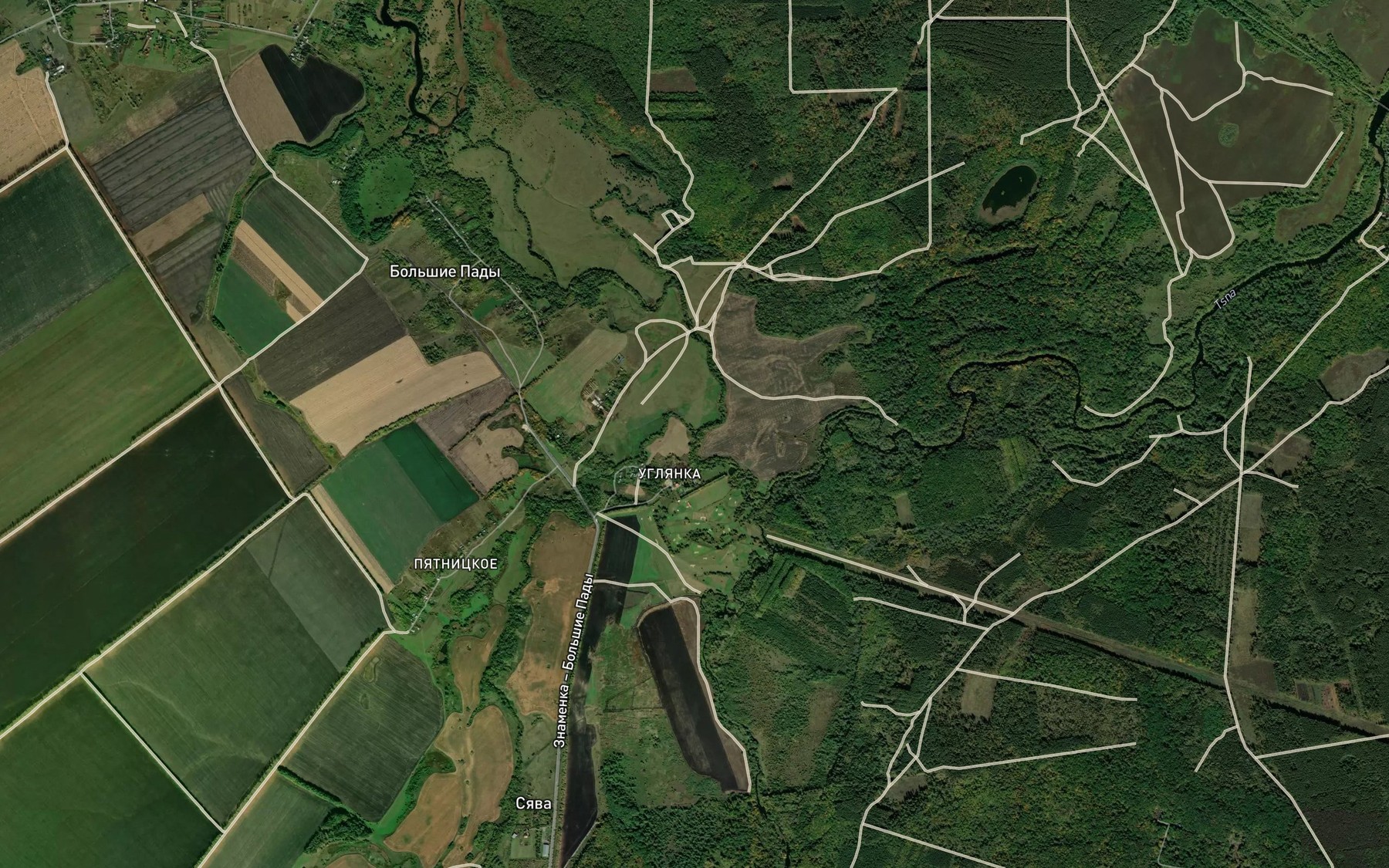 Satellite map of the Syava