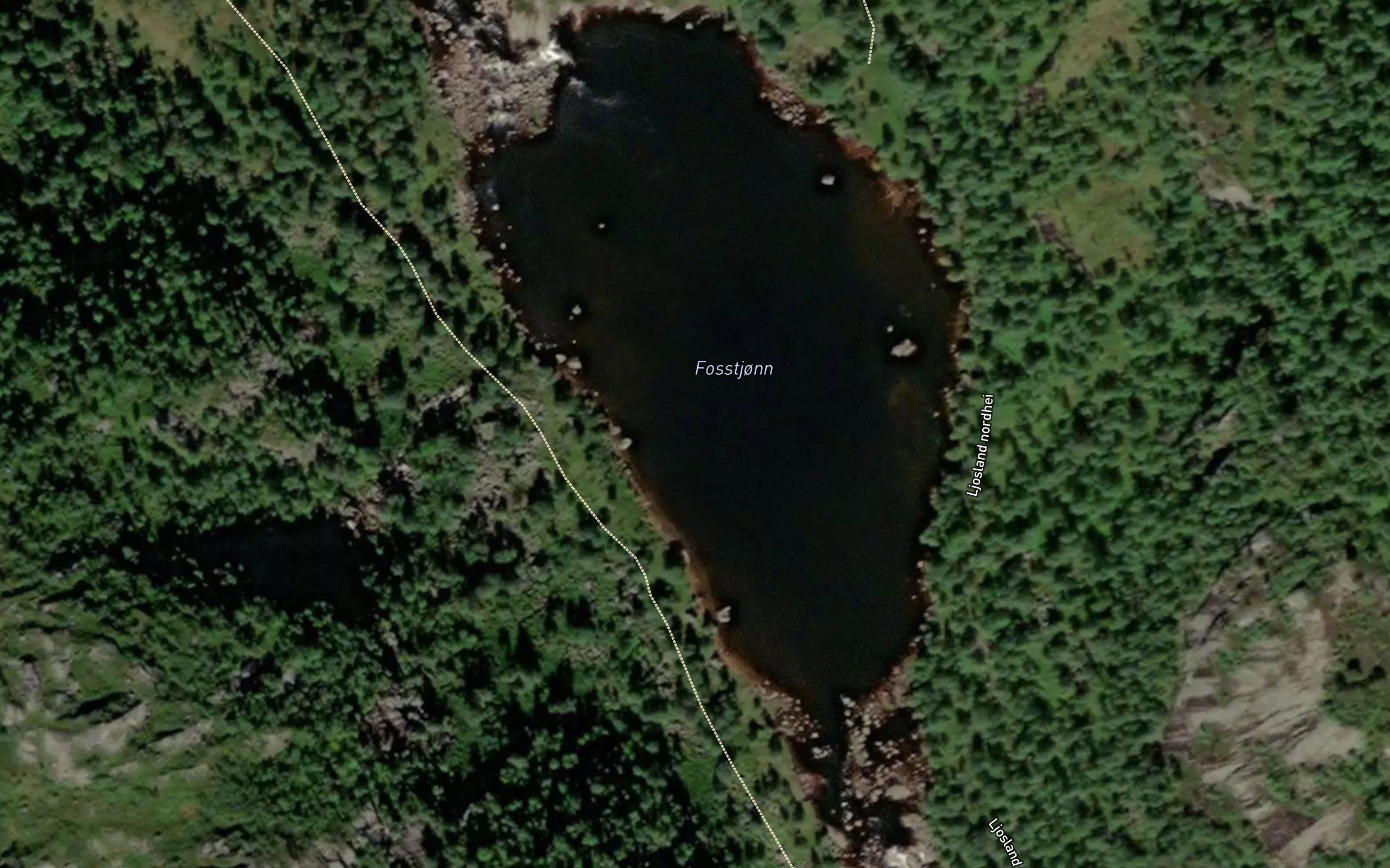 Fosstjorn
