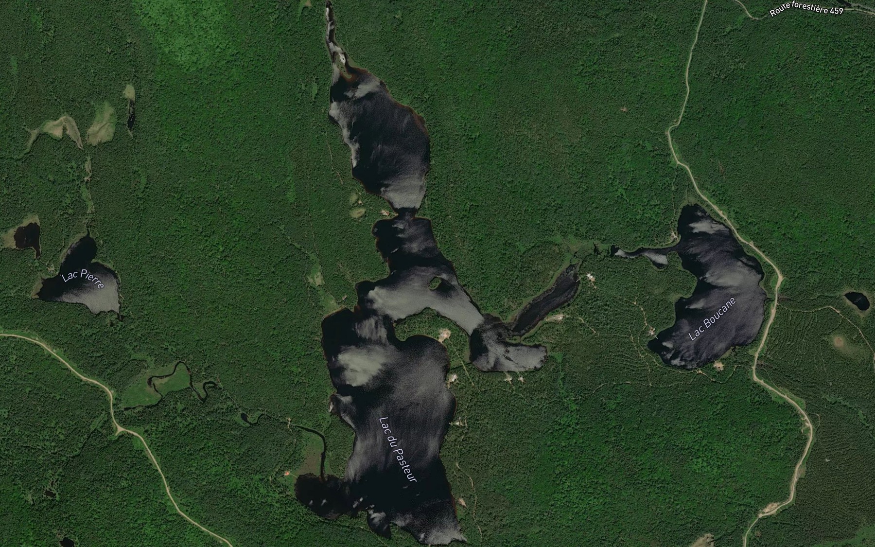 Satellite map of the Lac du Pasteur