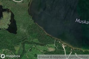 Trout Creek