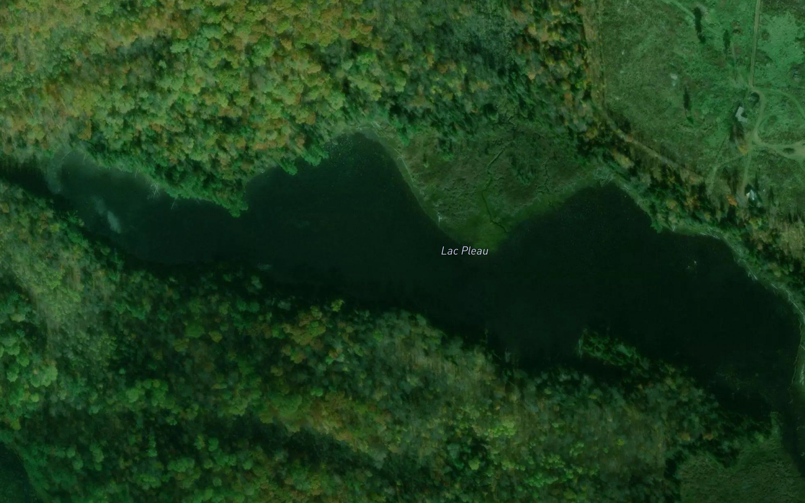 Lac Pleau