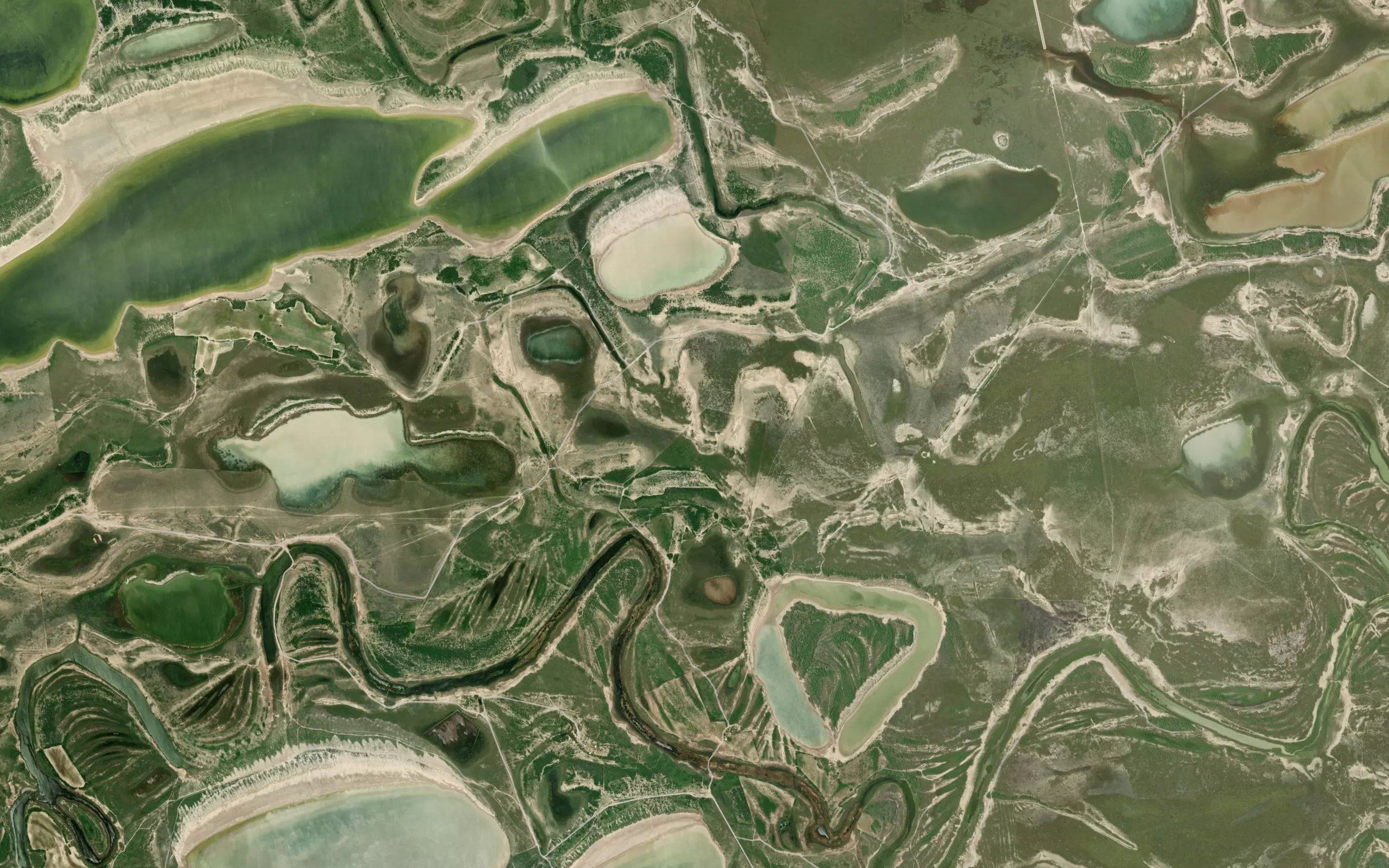 Estero las Tazas