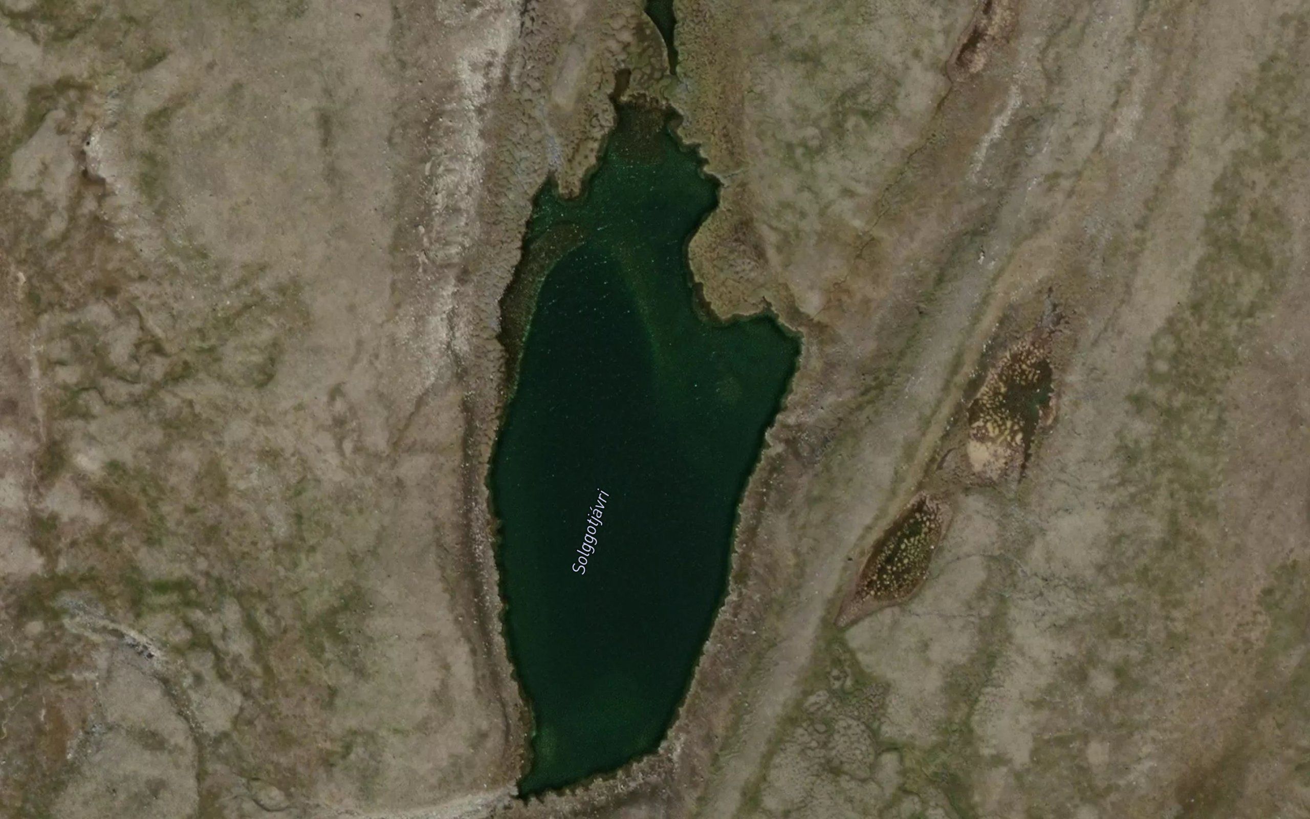 Salgutjavri