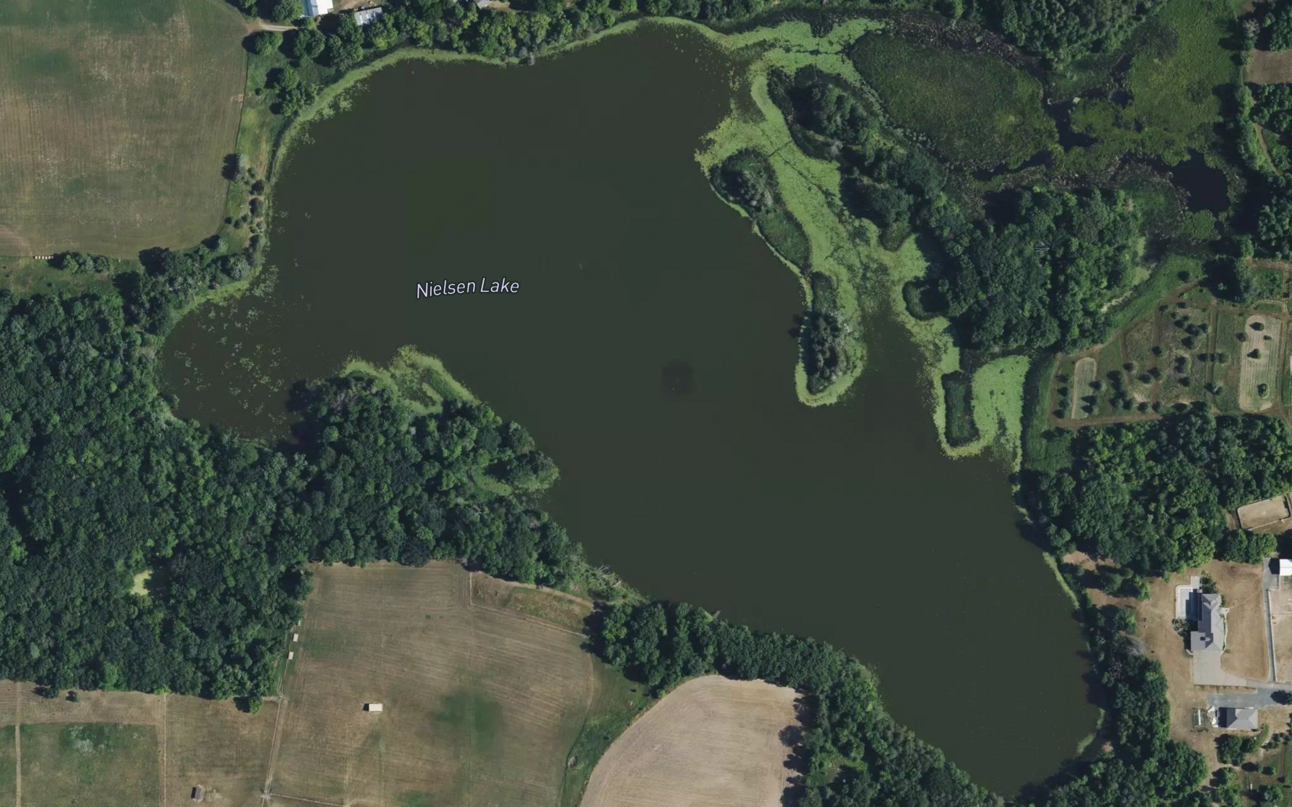 Nielsen Lake