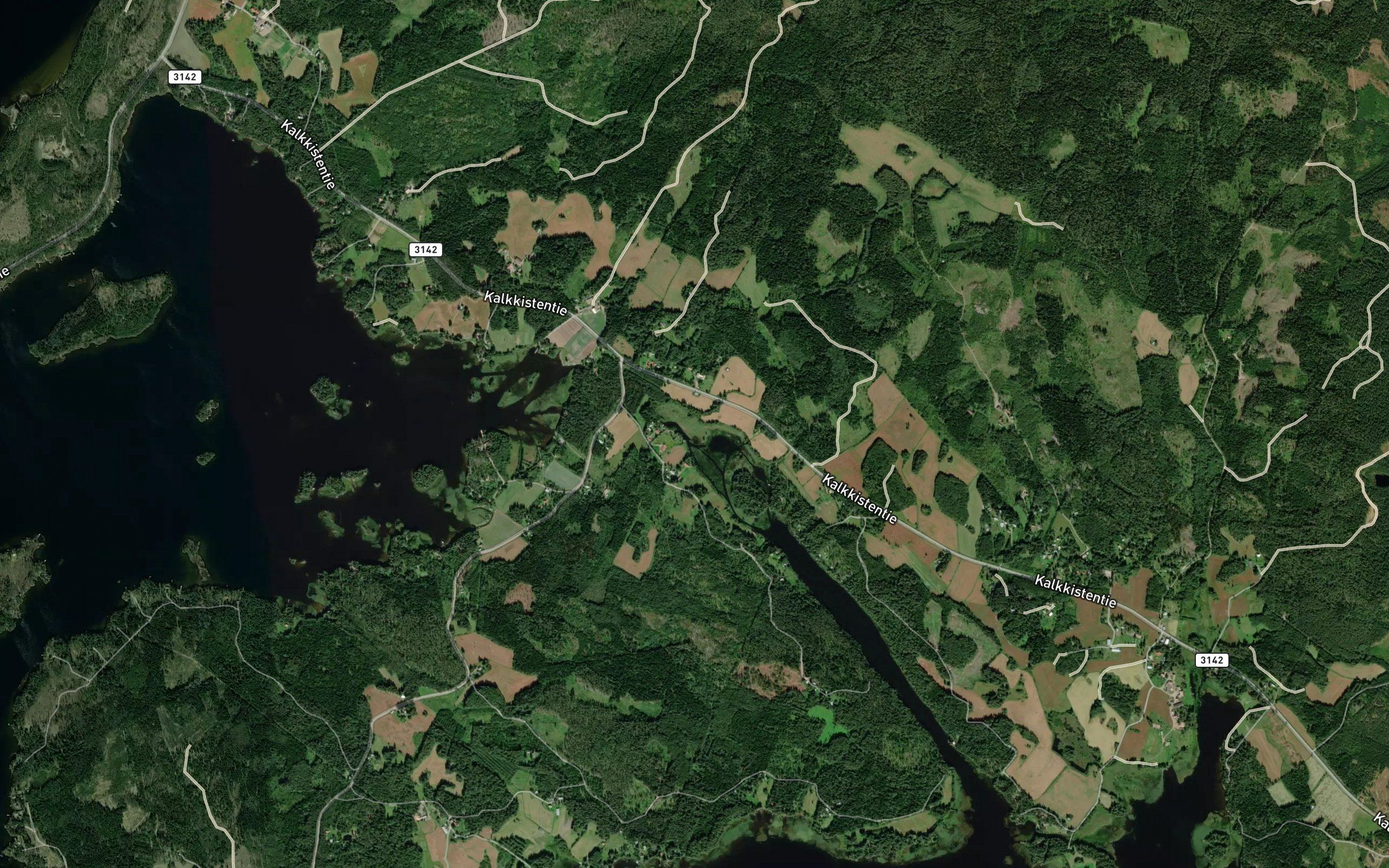 Mustjoki