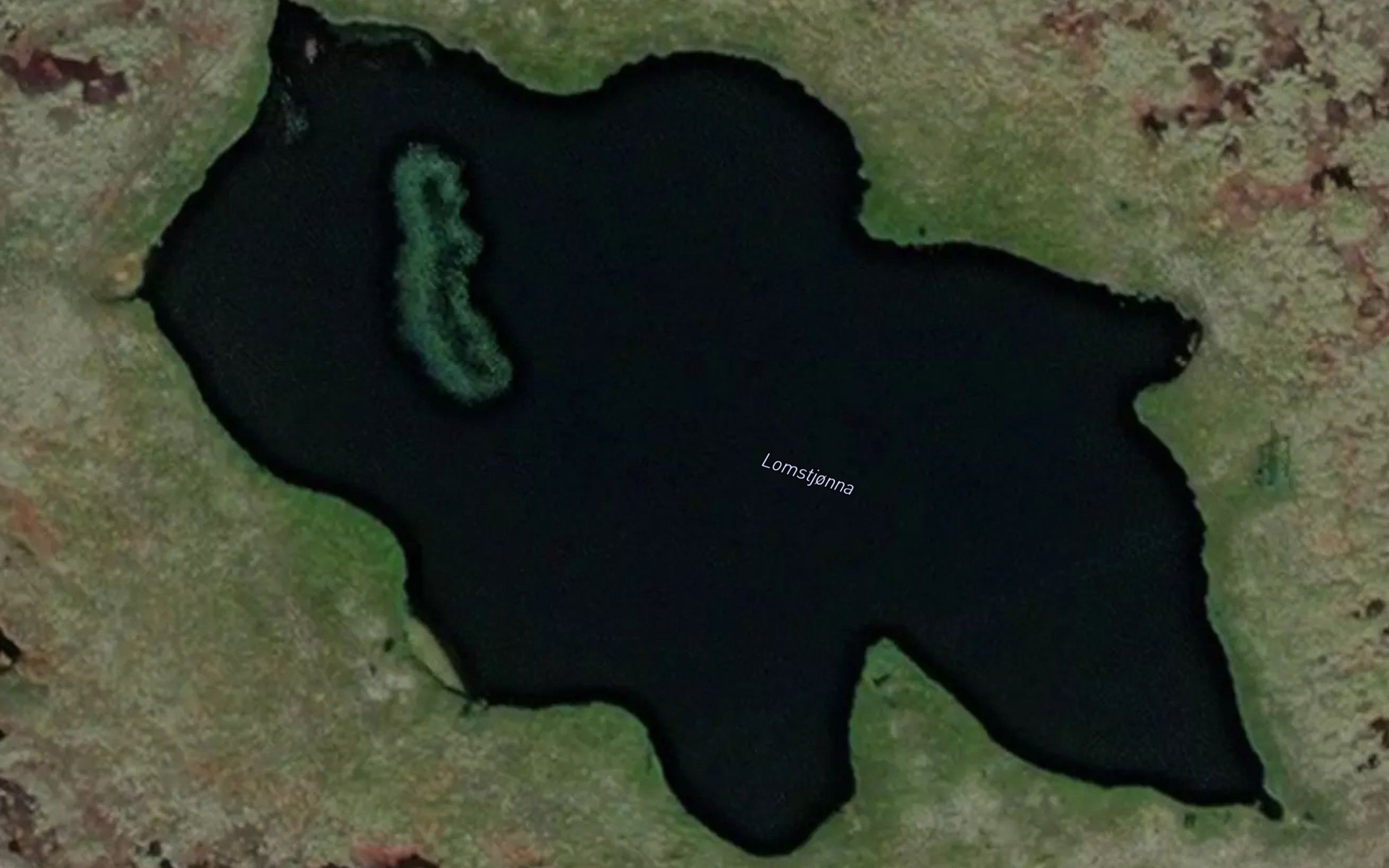 Lomstjorna