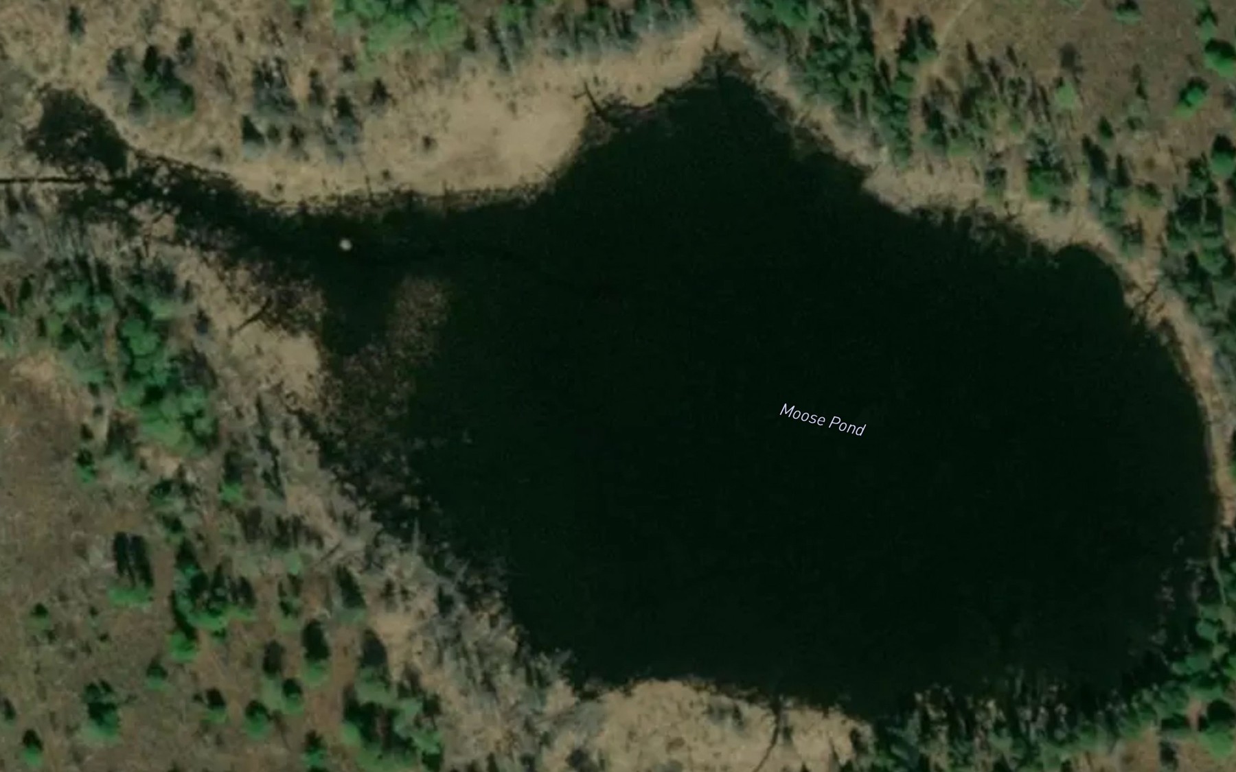 Satellite map of the Moose Pond