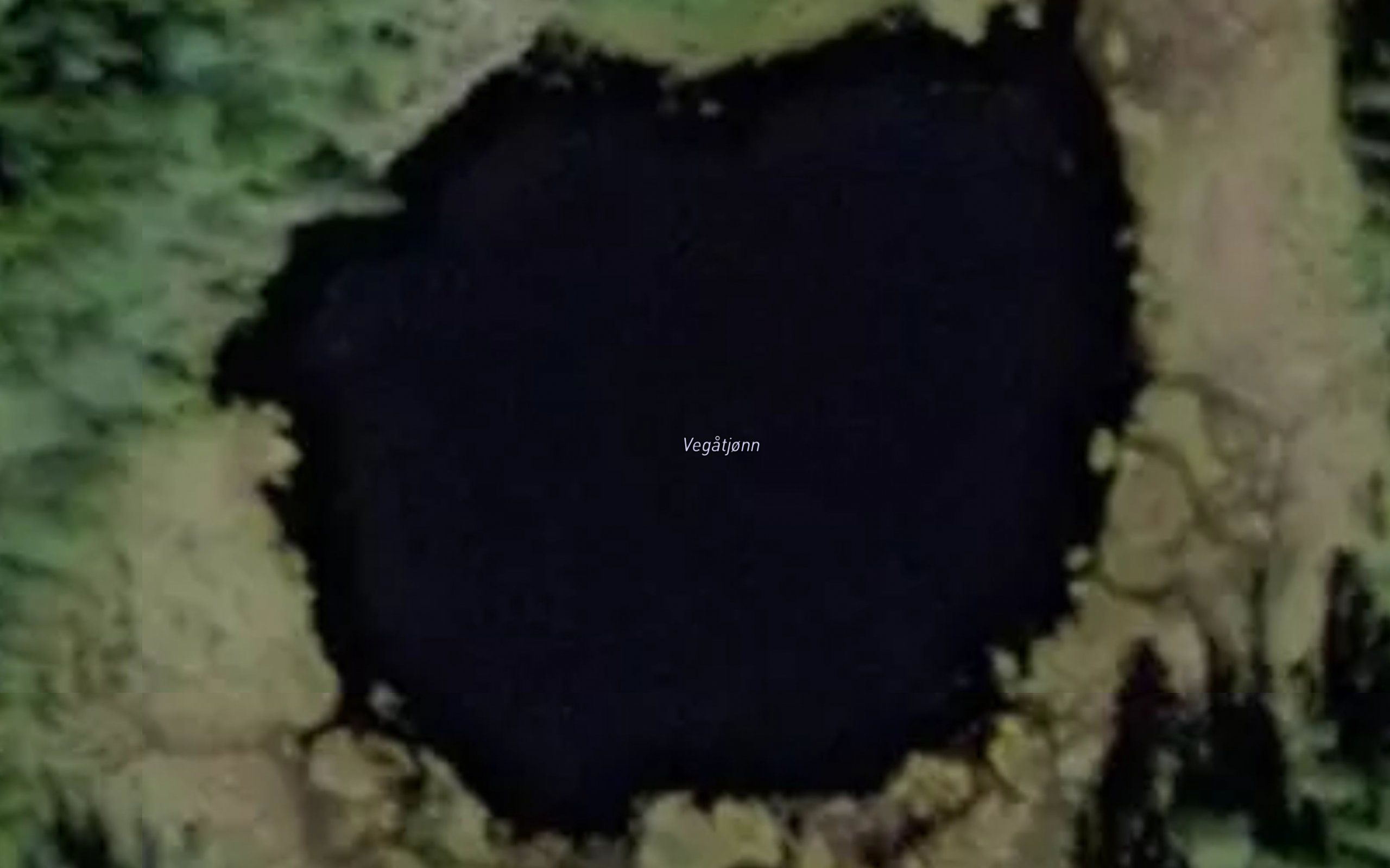 Vegatjonn