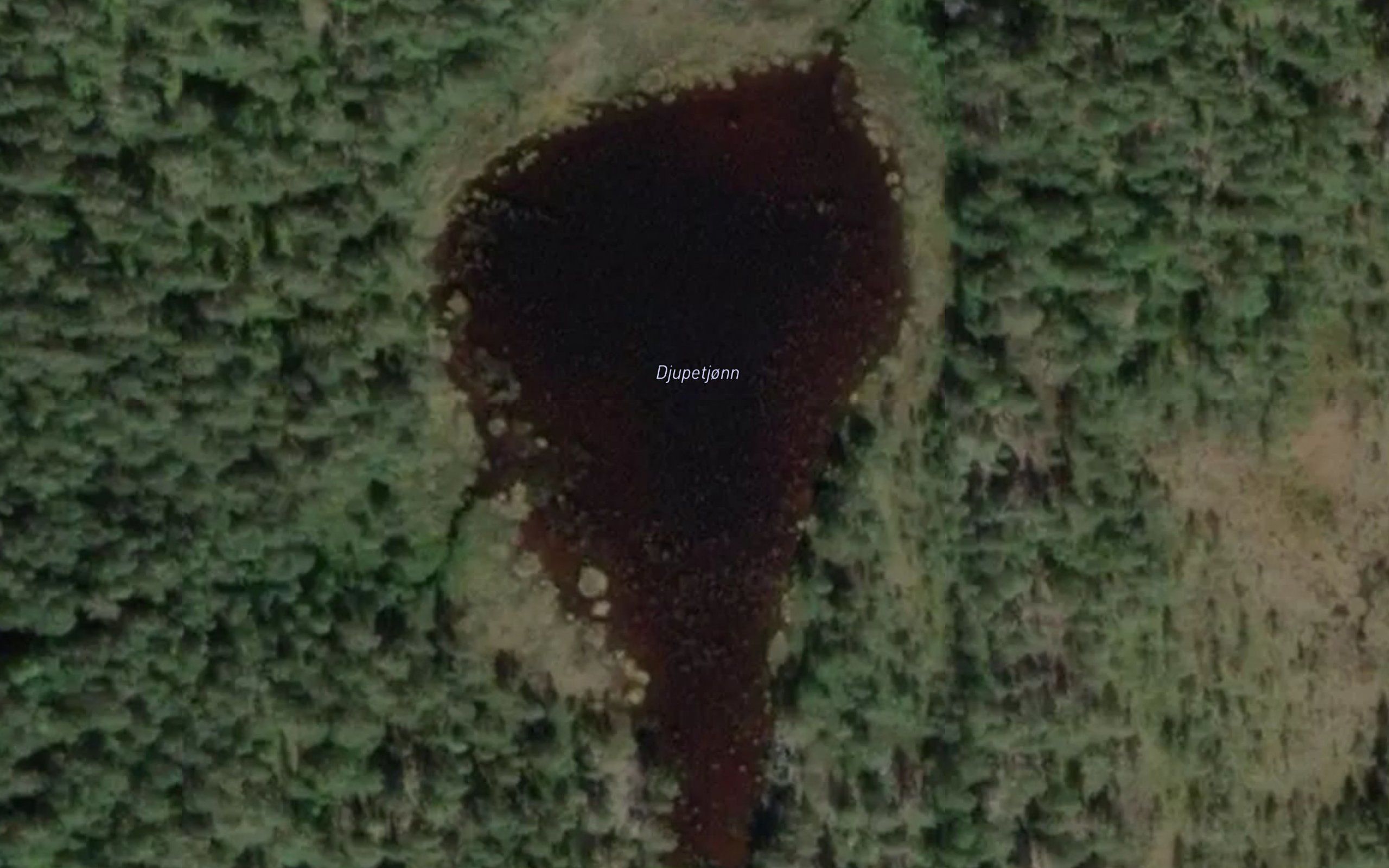 Djupetjorn