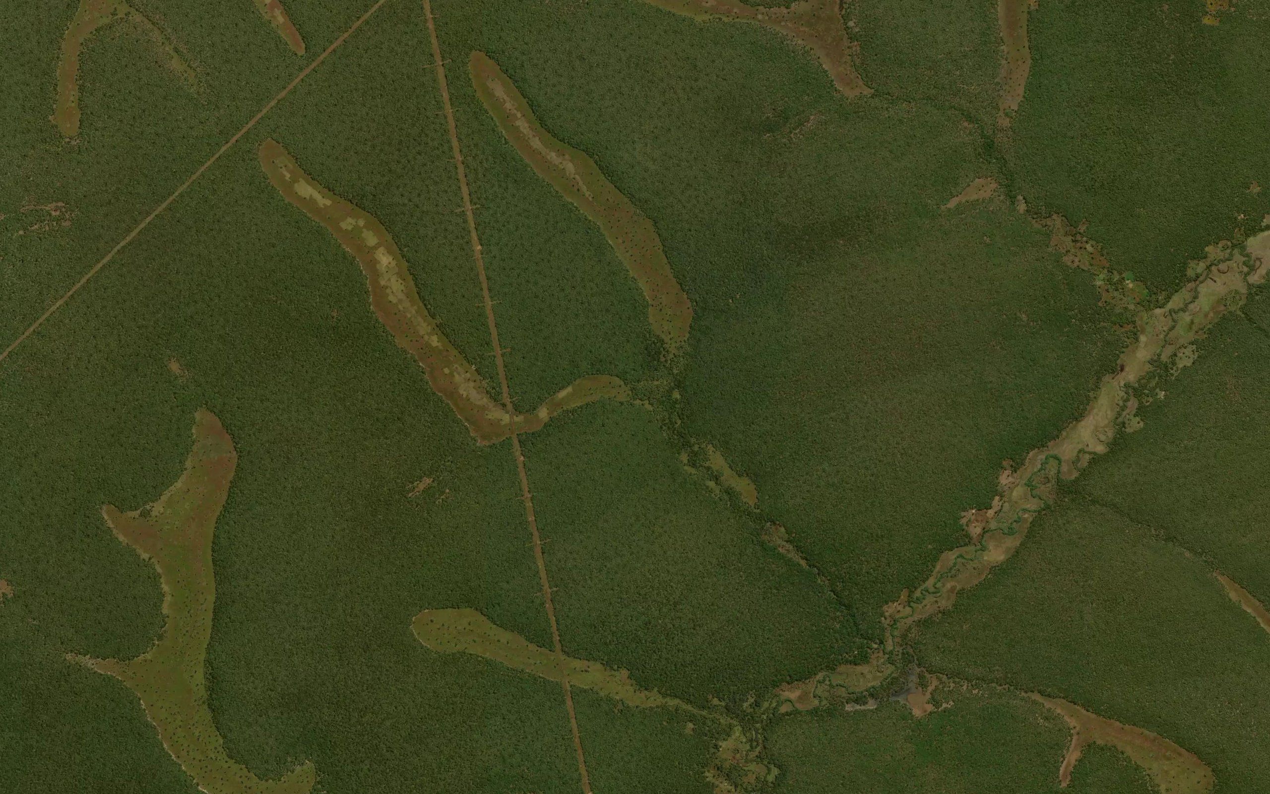 Kauka