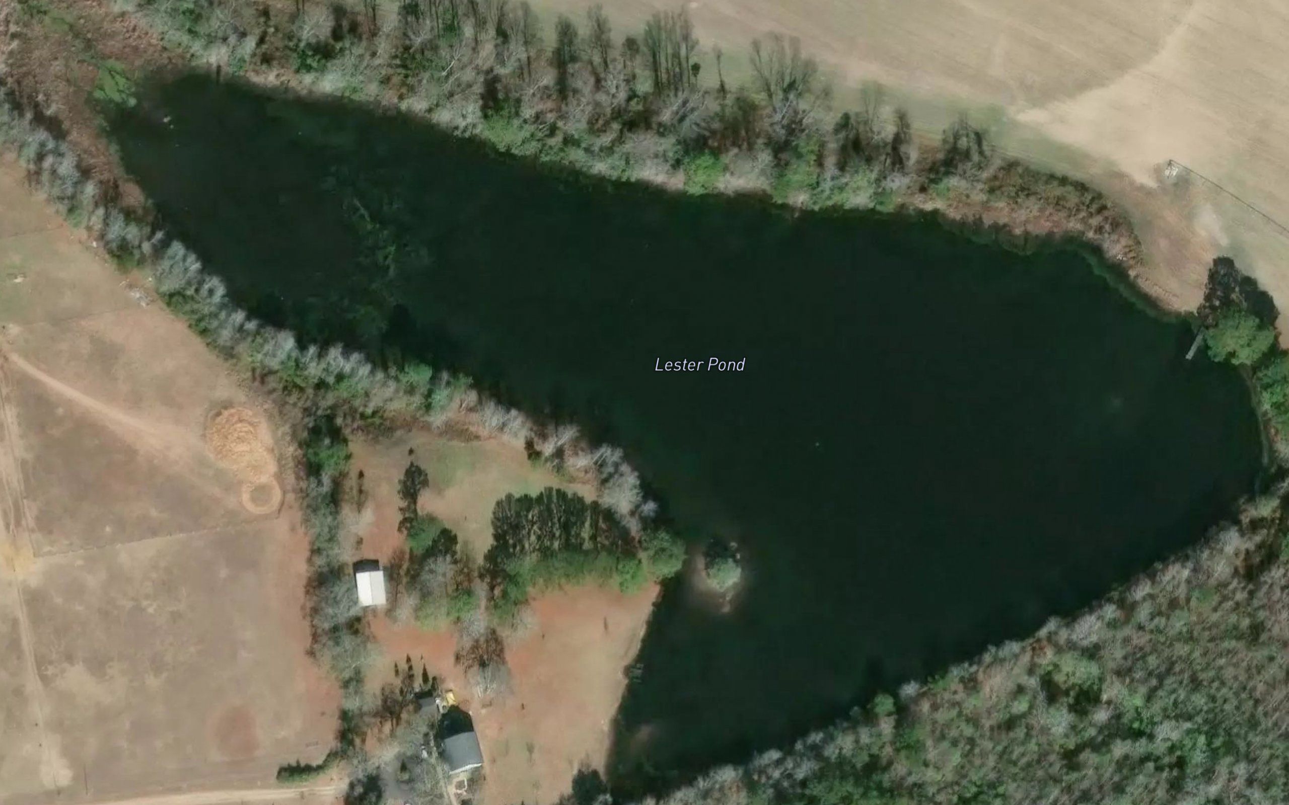 Lester Pond