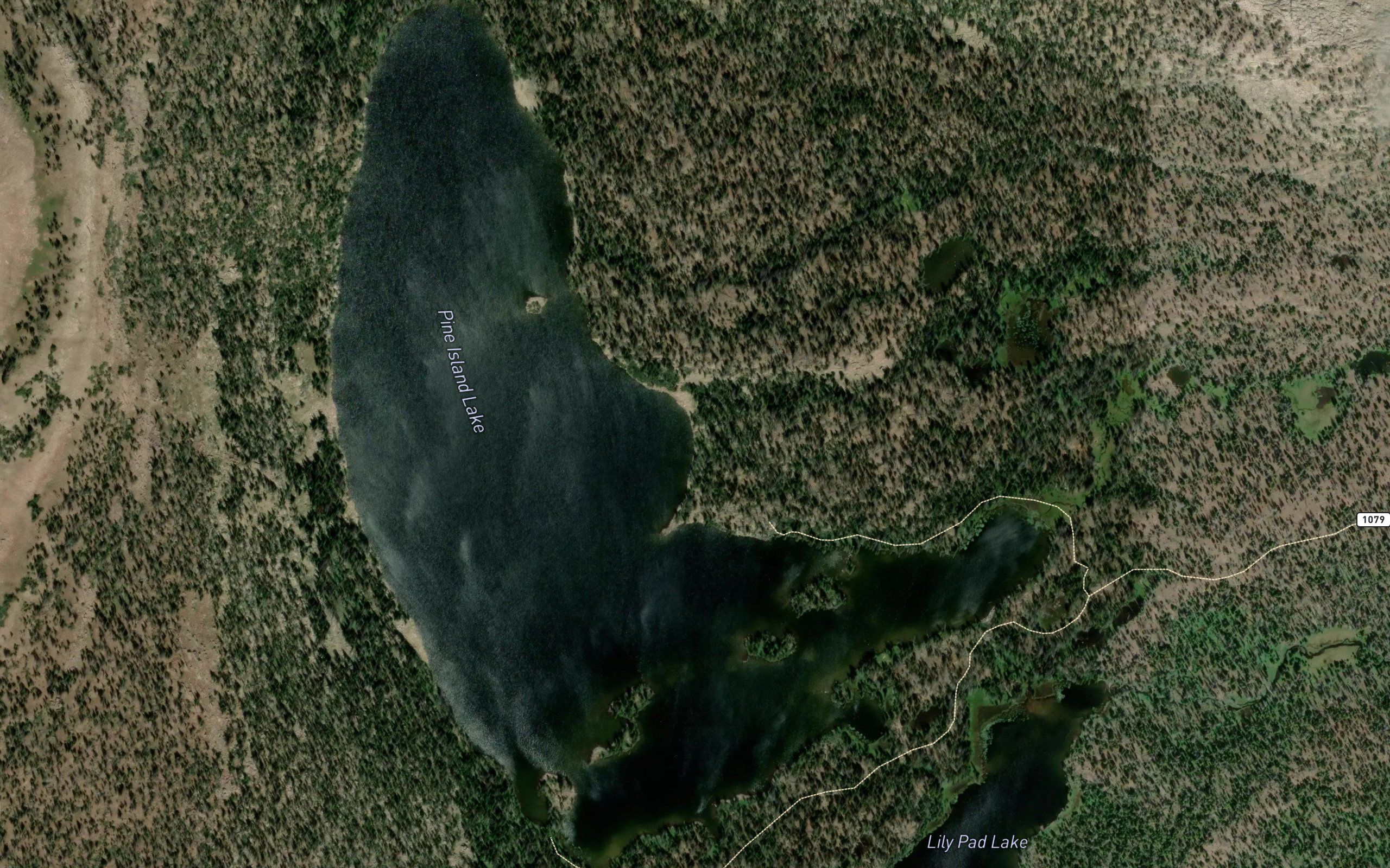 Pine Island Lake