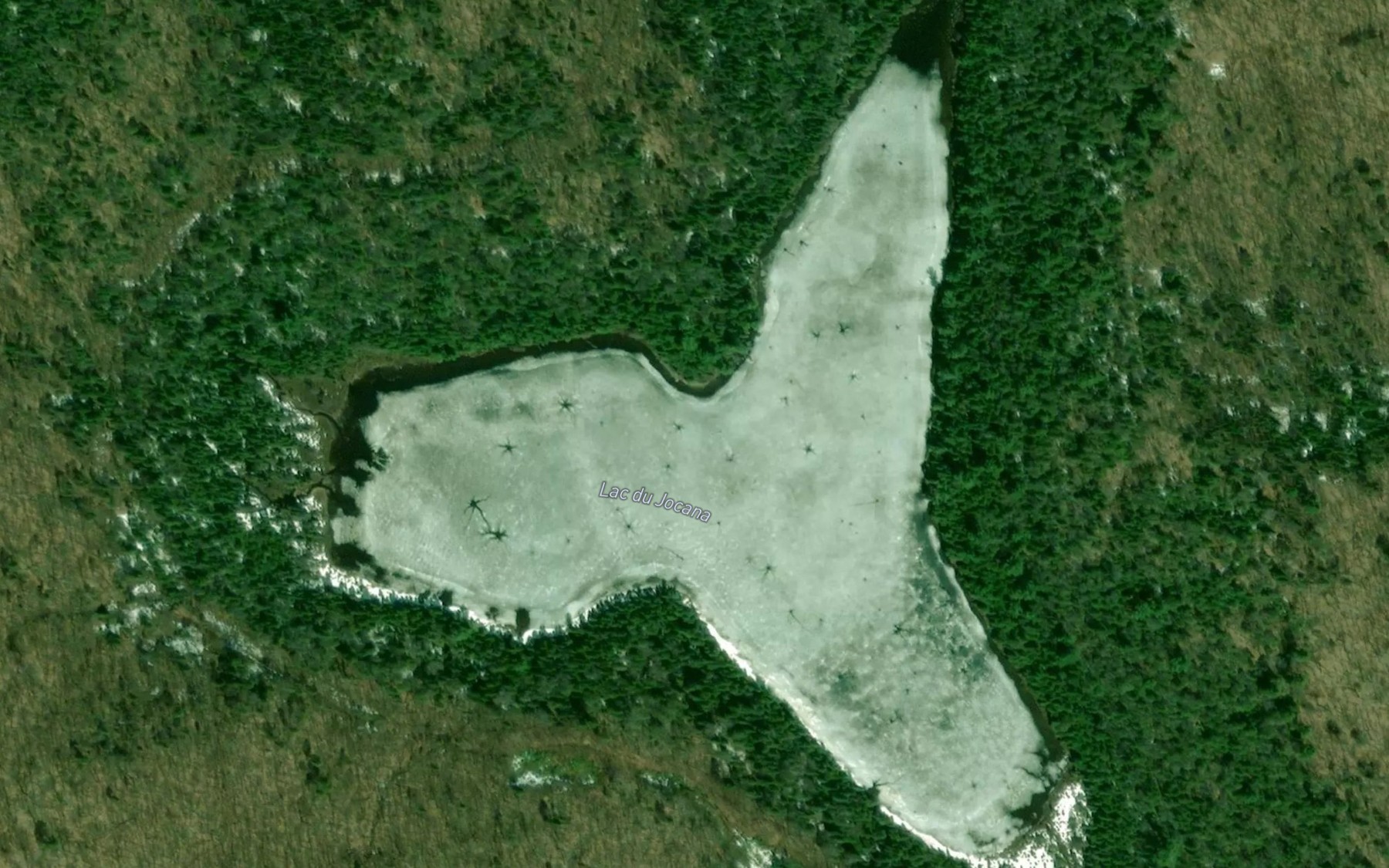 Satellite map of the Lac du Jocana