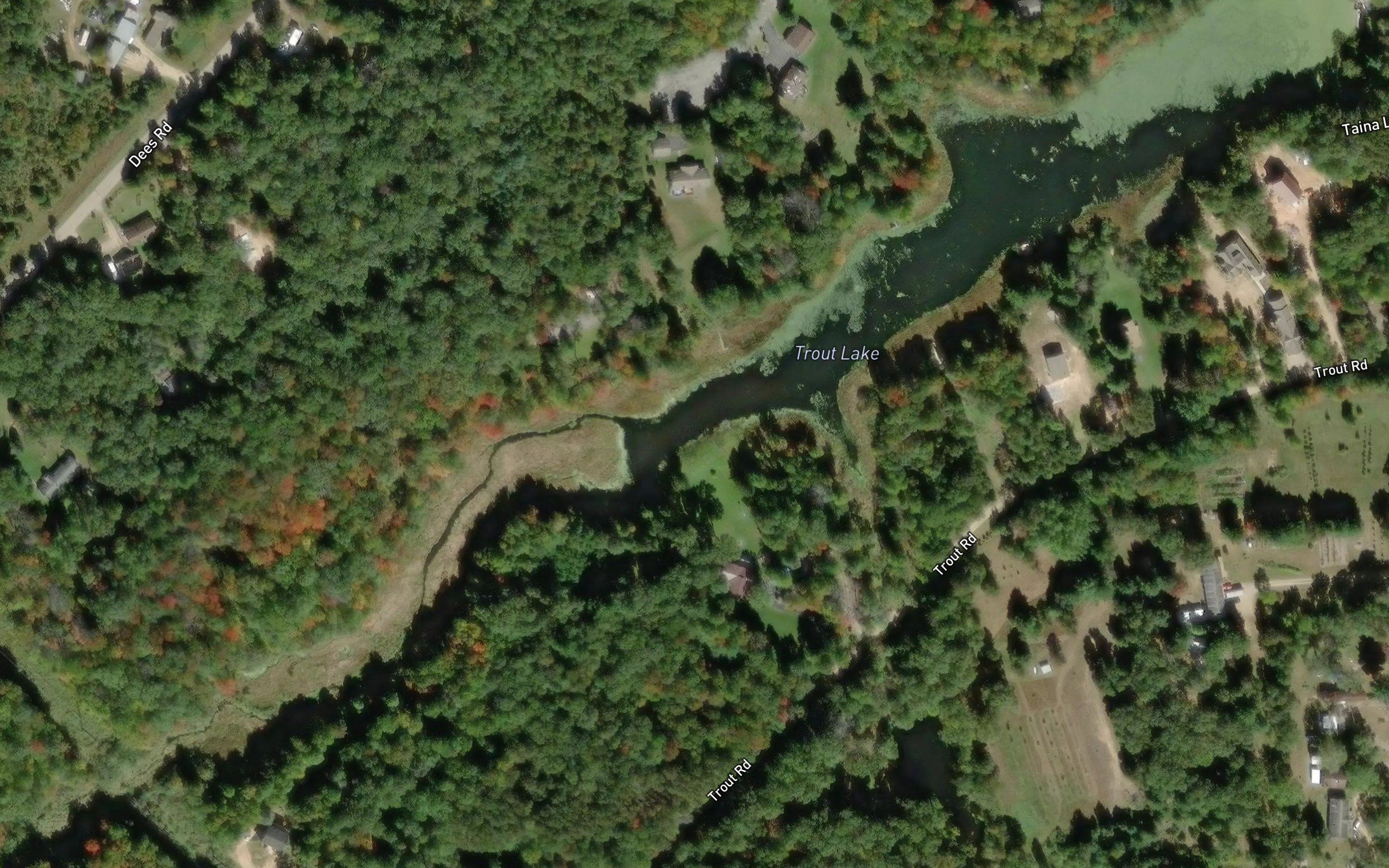 Trout Lake