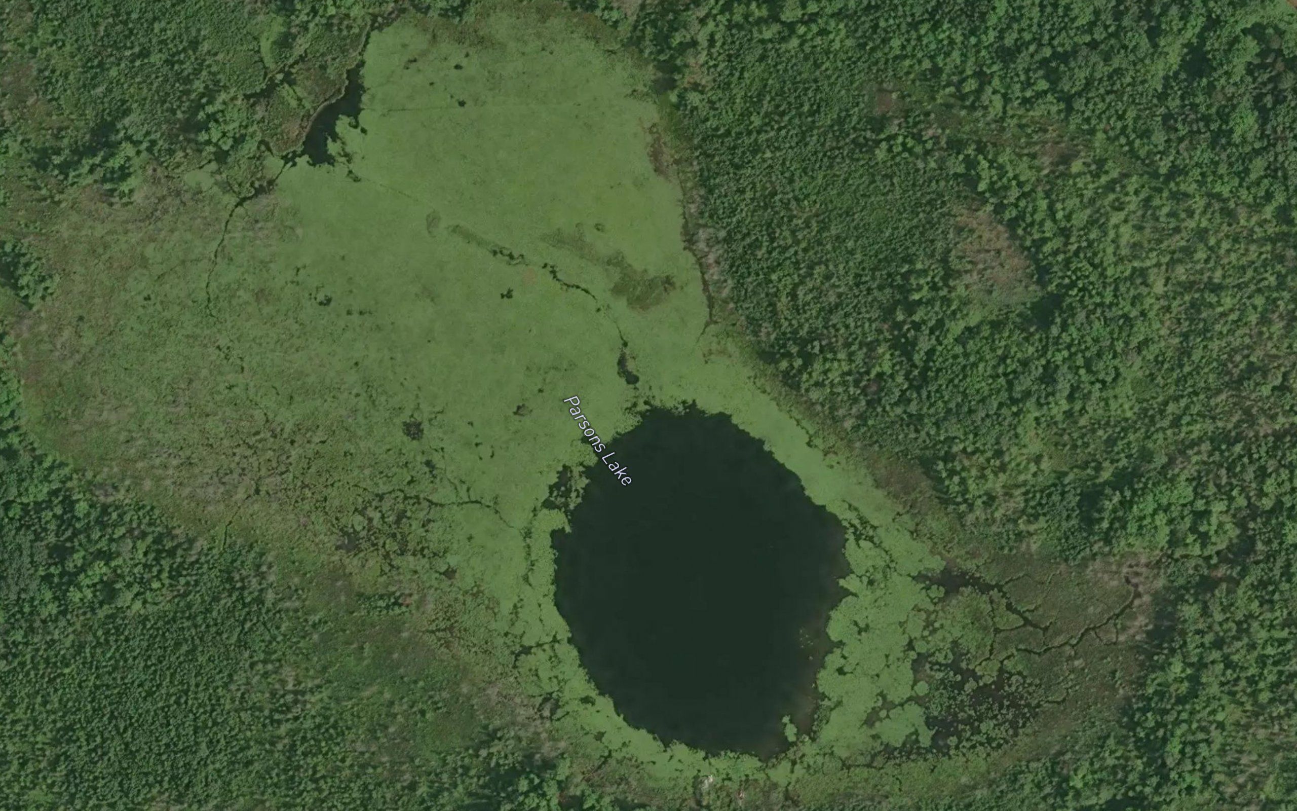 Parsons Lake