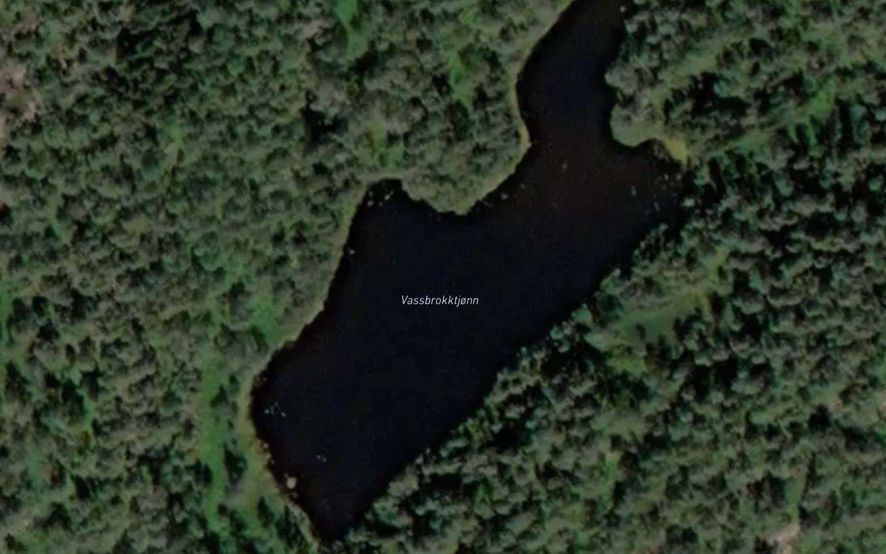 Satellite map of the Vassbrokktjonn