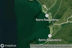 Bukhta Lashkevicha
