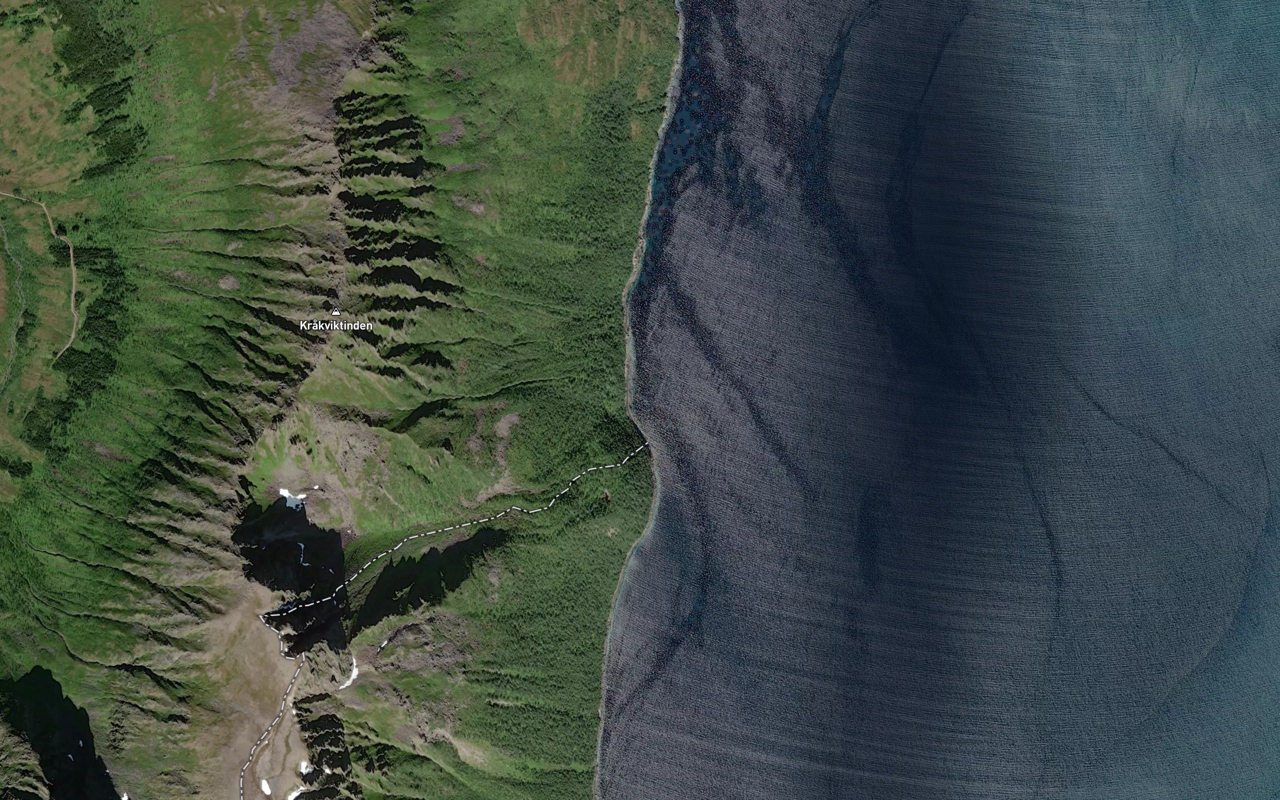 Mulvika