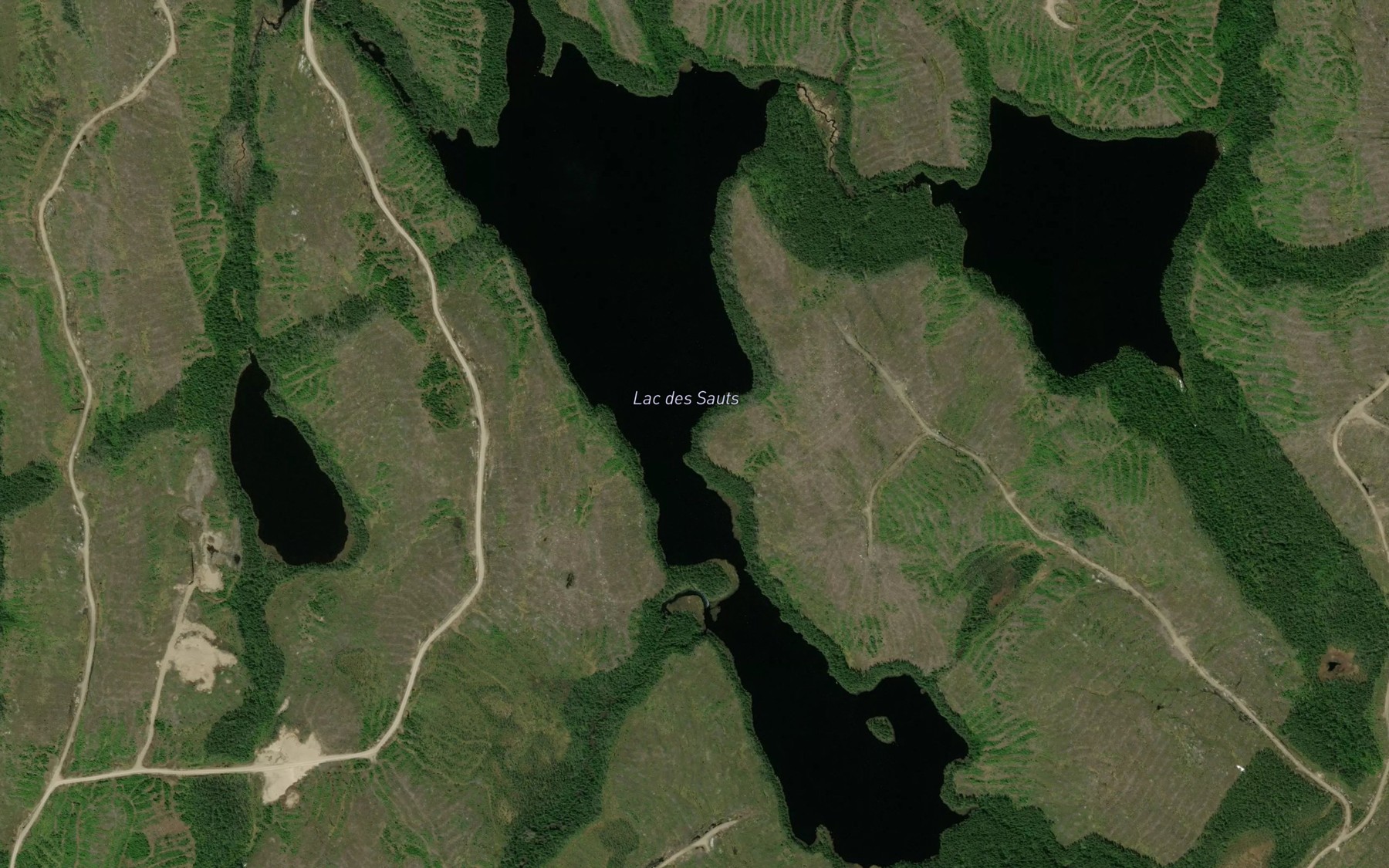 Satellite map of the Lac des Sauts