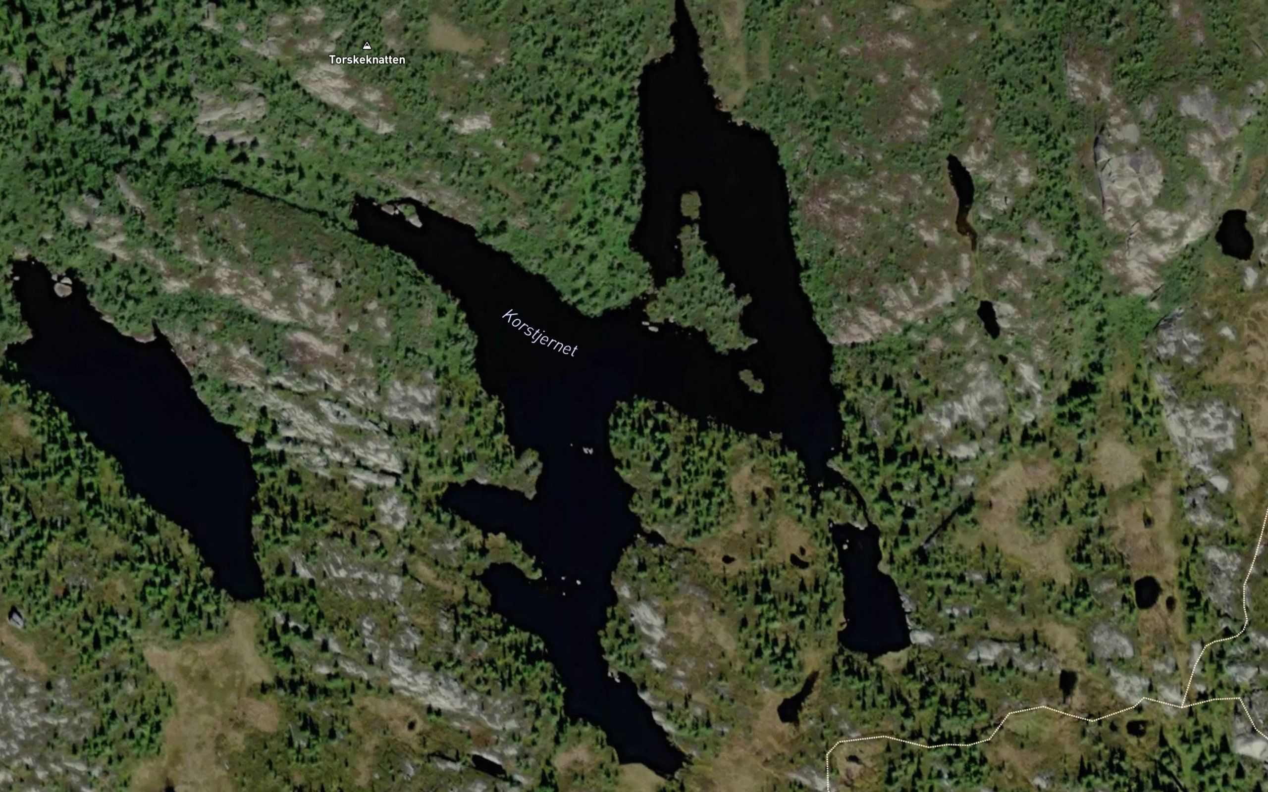 Korstjernet