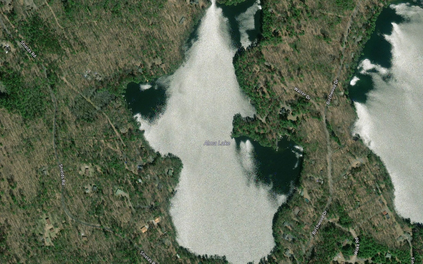 Satellite map of the Alma Lake