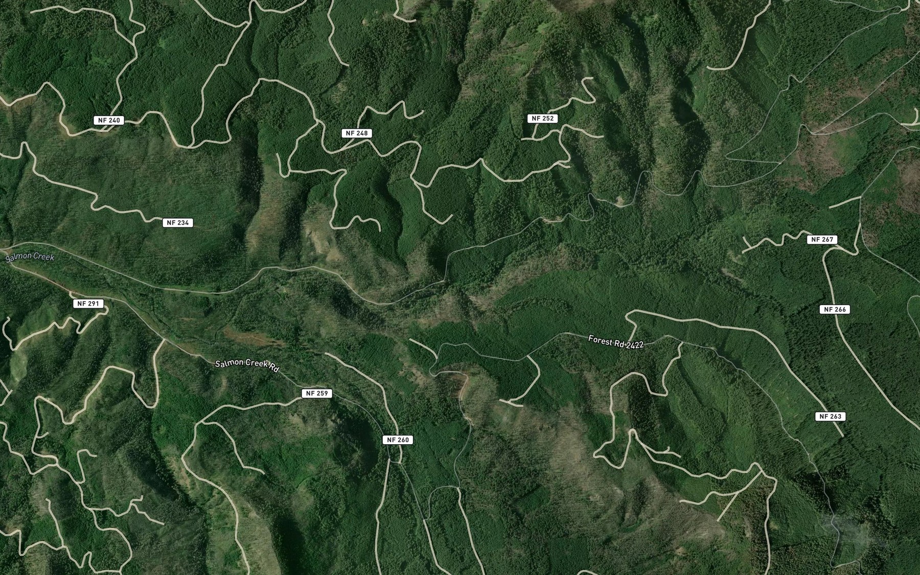 Satellite map of the Koch Creek