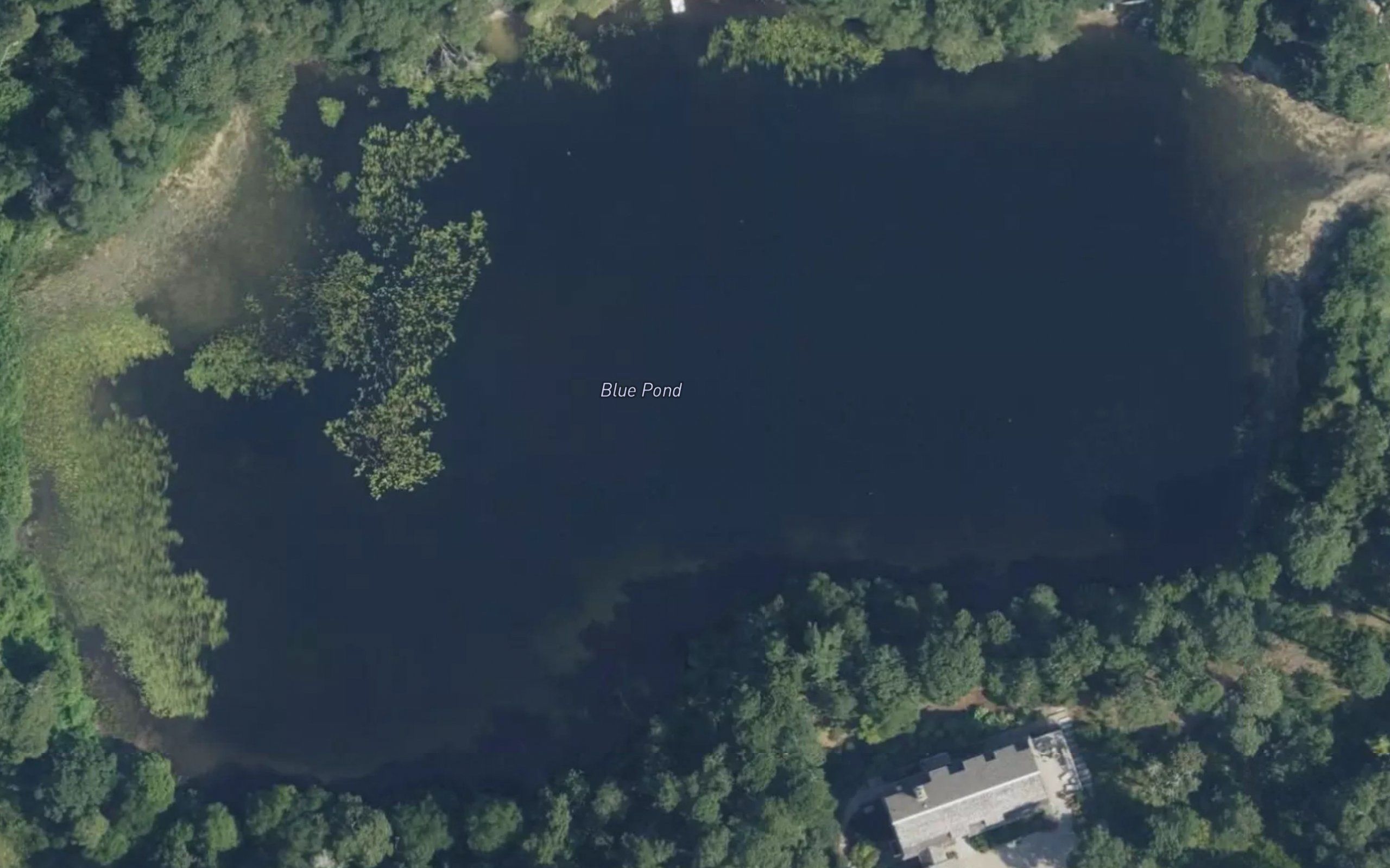 Blue Pond