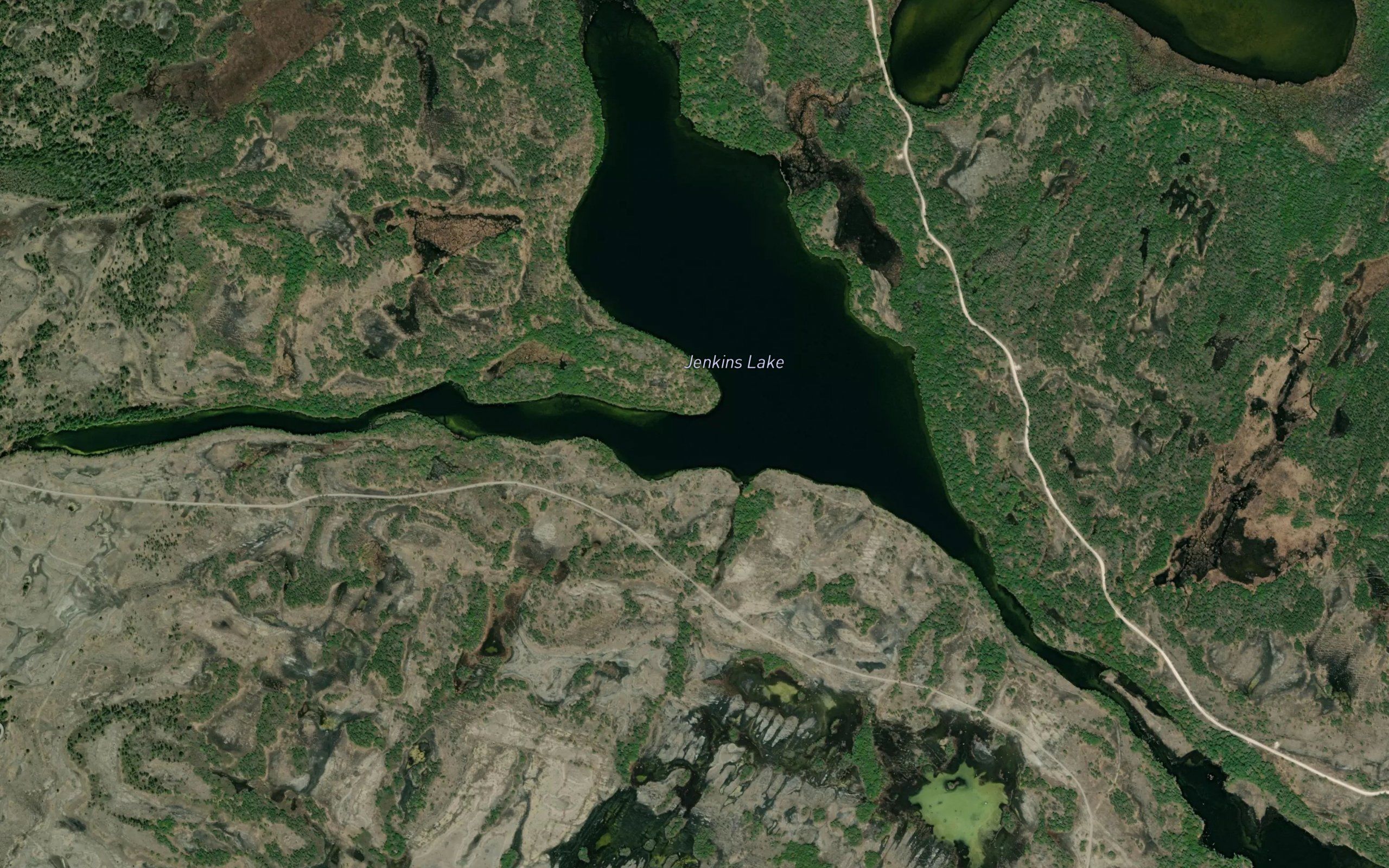 Jenkins Lake