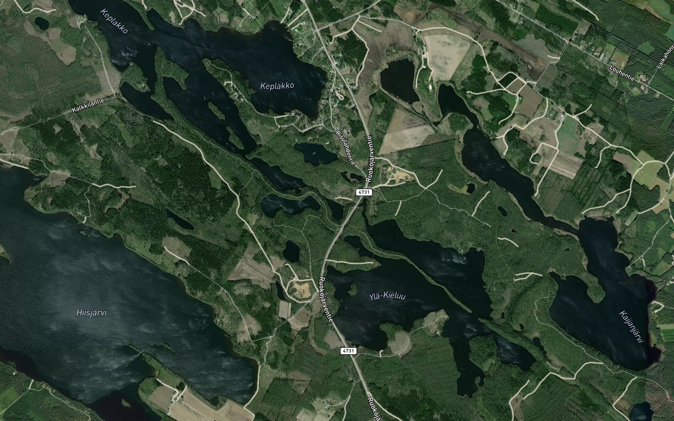 Koholampi