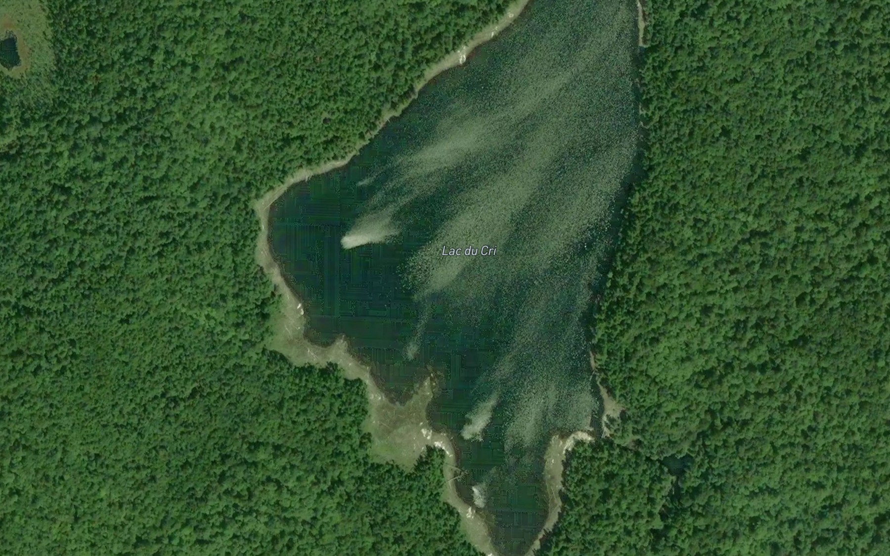 Satellite map of the Lac du Cri