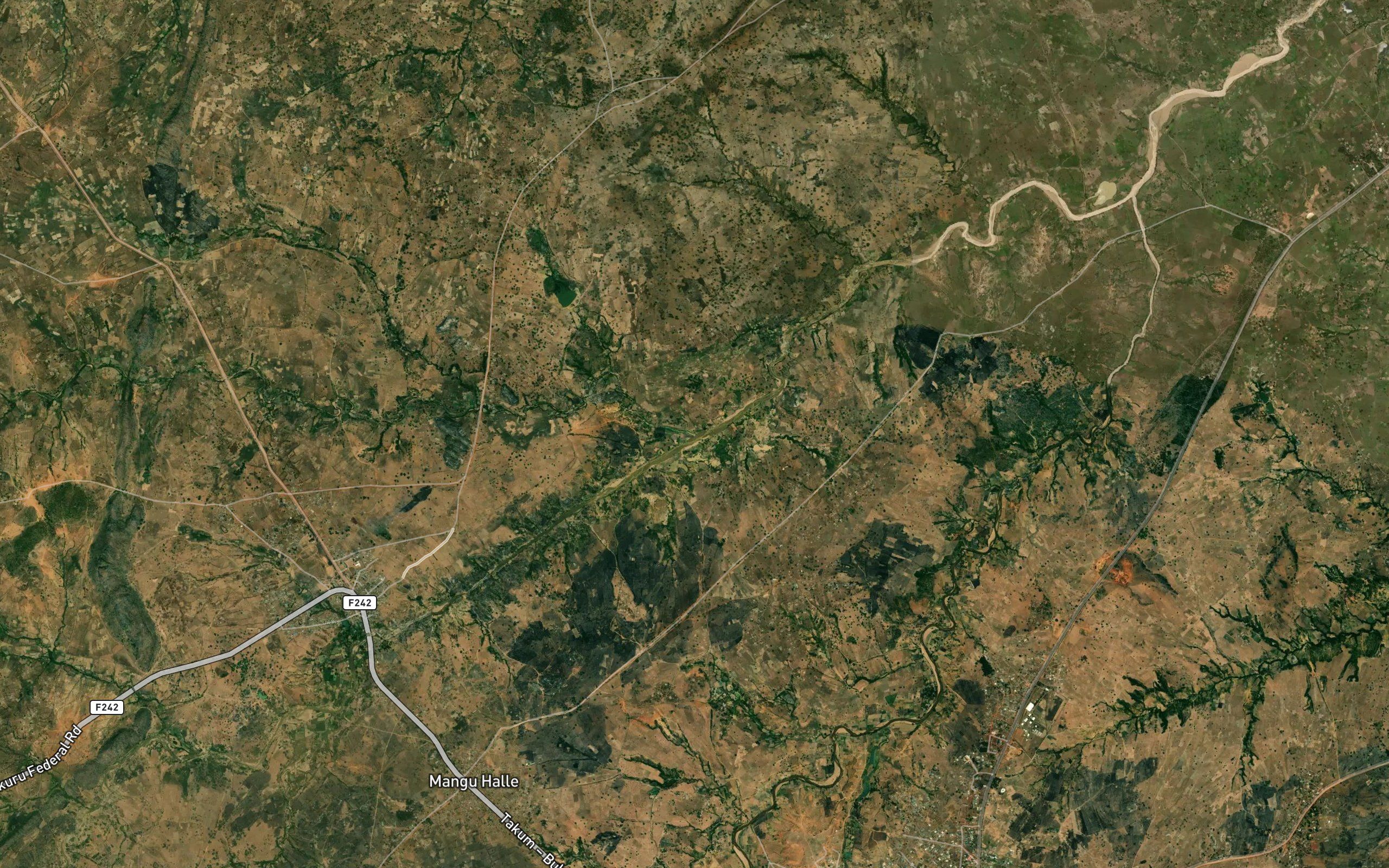 Northern Mongu