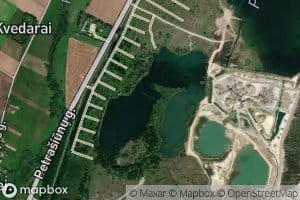 Petrasiunu I Karjeras